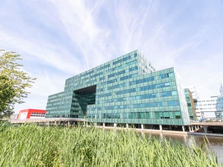 AMSTERDAM, TOO Diana BC image 15