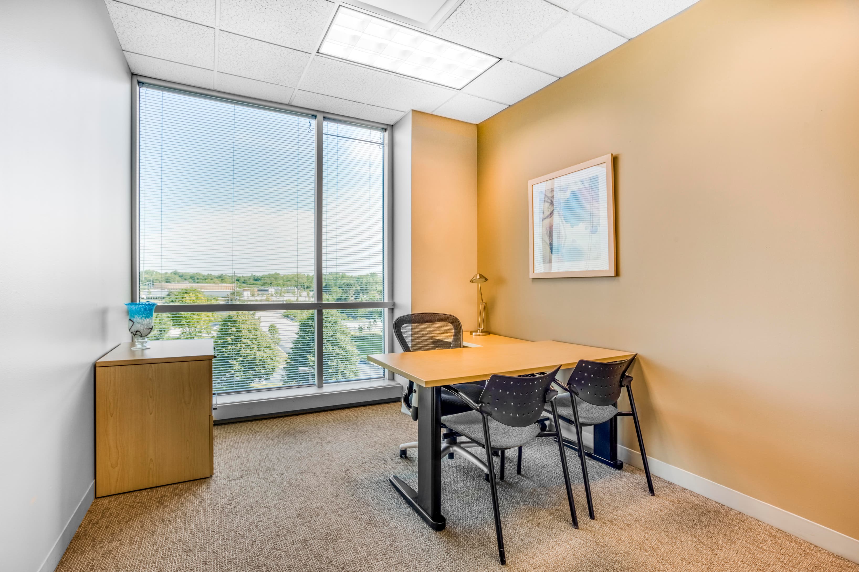 IL, Lisle - Central Park of Lisle image 4