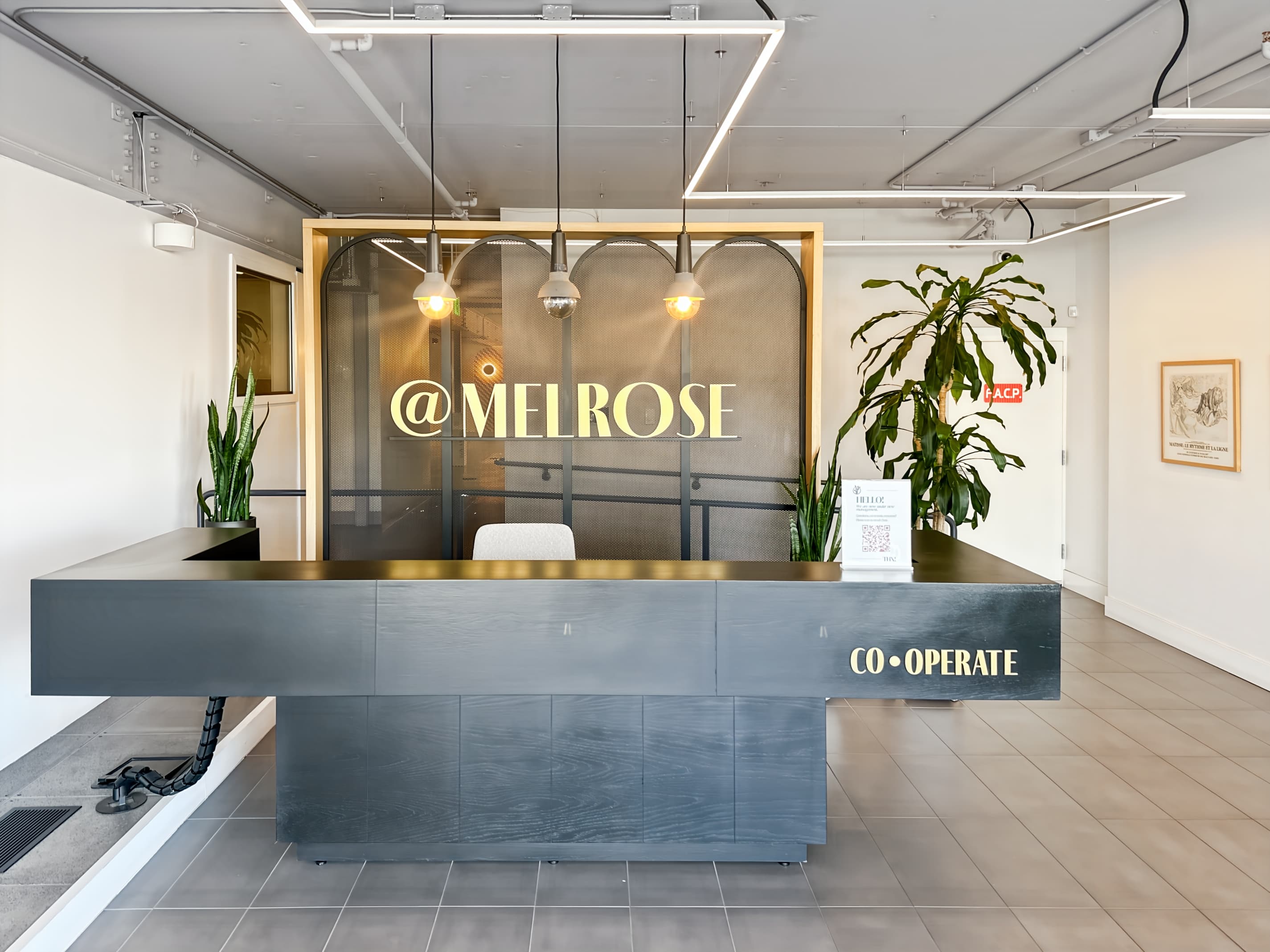 AZ, Phoenix - Melrose image 4