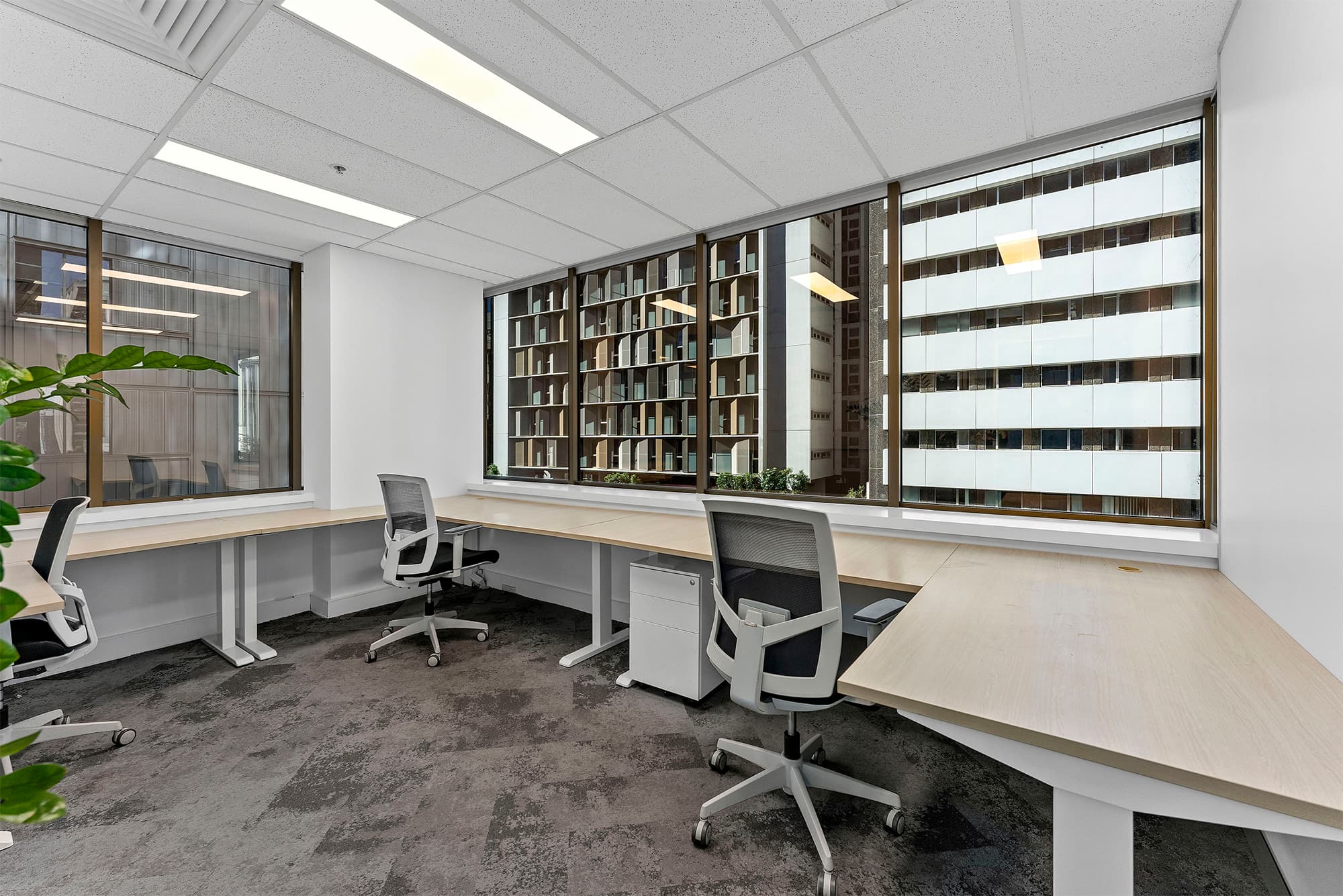 Brisbane, 316 Adelaide Street image 7 Brisbane, 316 Adelaide Street image 7