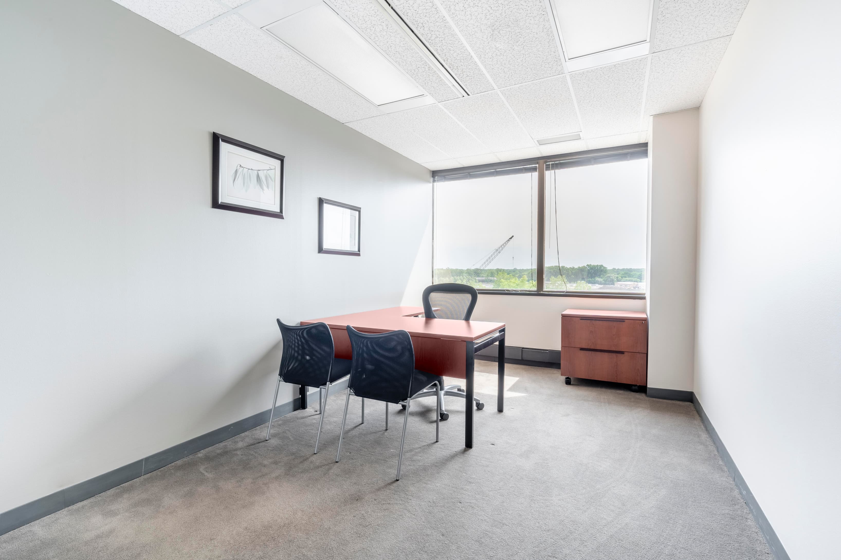 IL, Northbrook - Northbrook Botanic Gardens (HQ) image 9