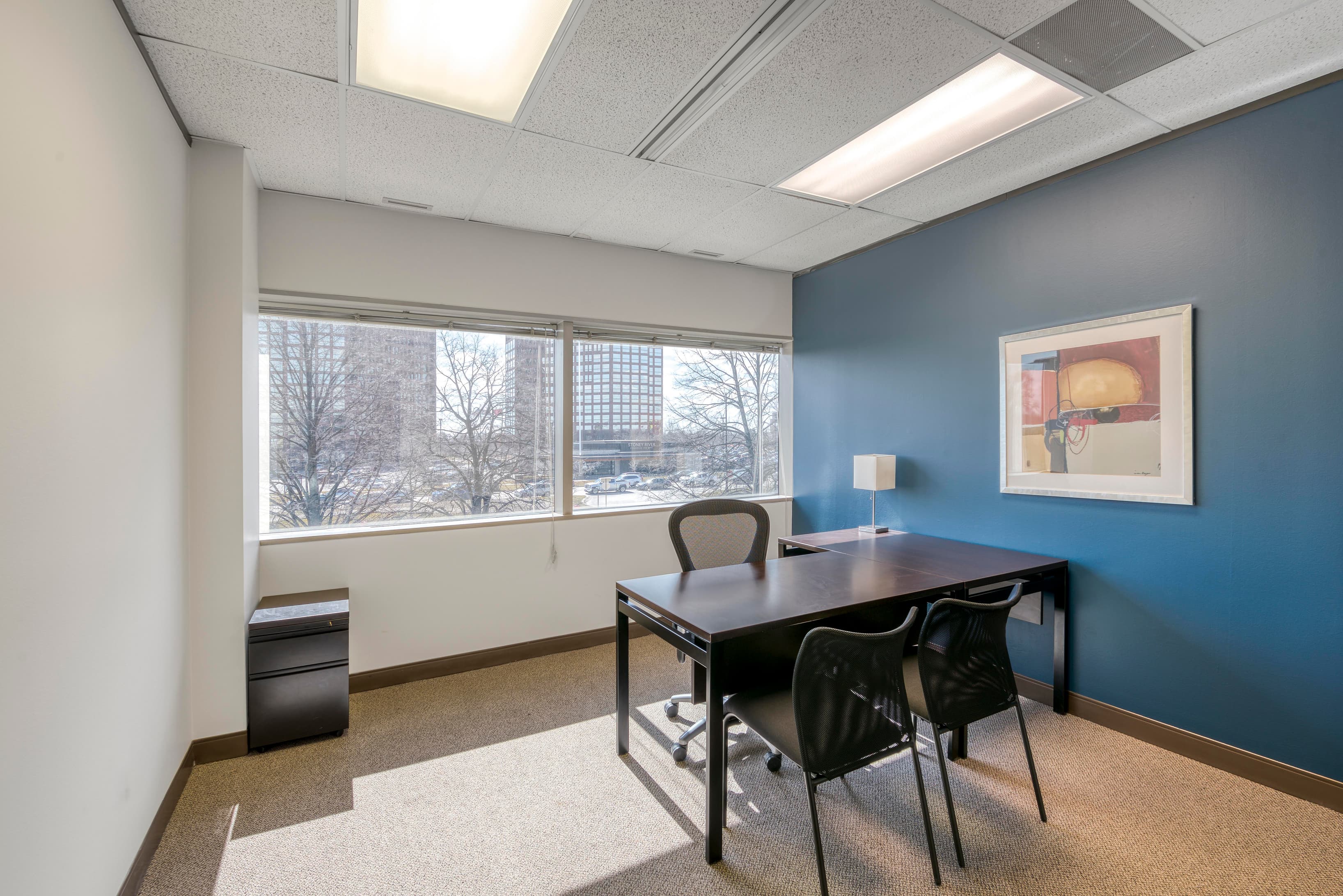 MI, Troy - Troy Liberty Center image 7