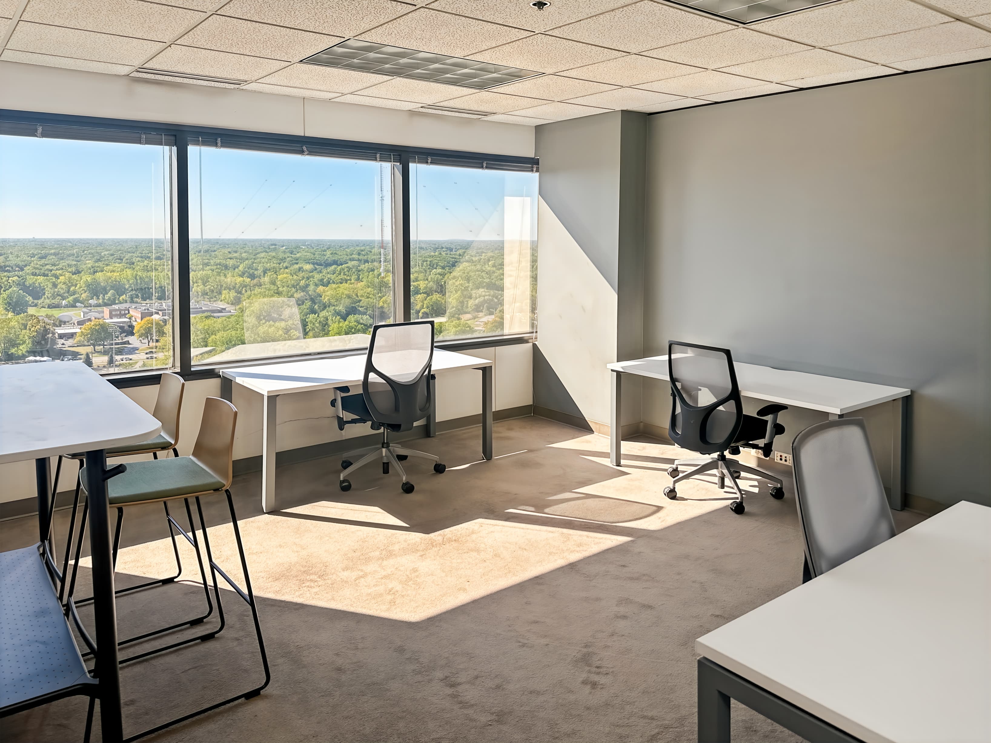 MI, Southfield - Southfield Town Center image 12