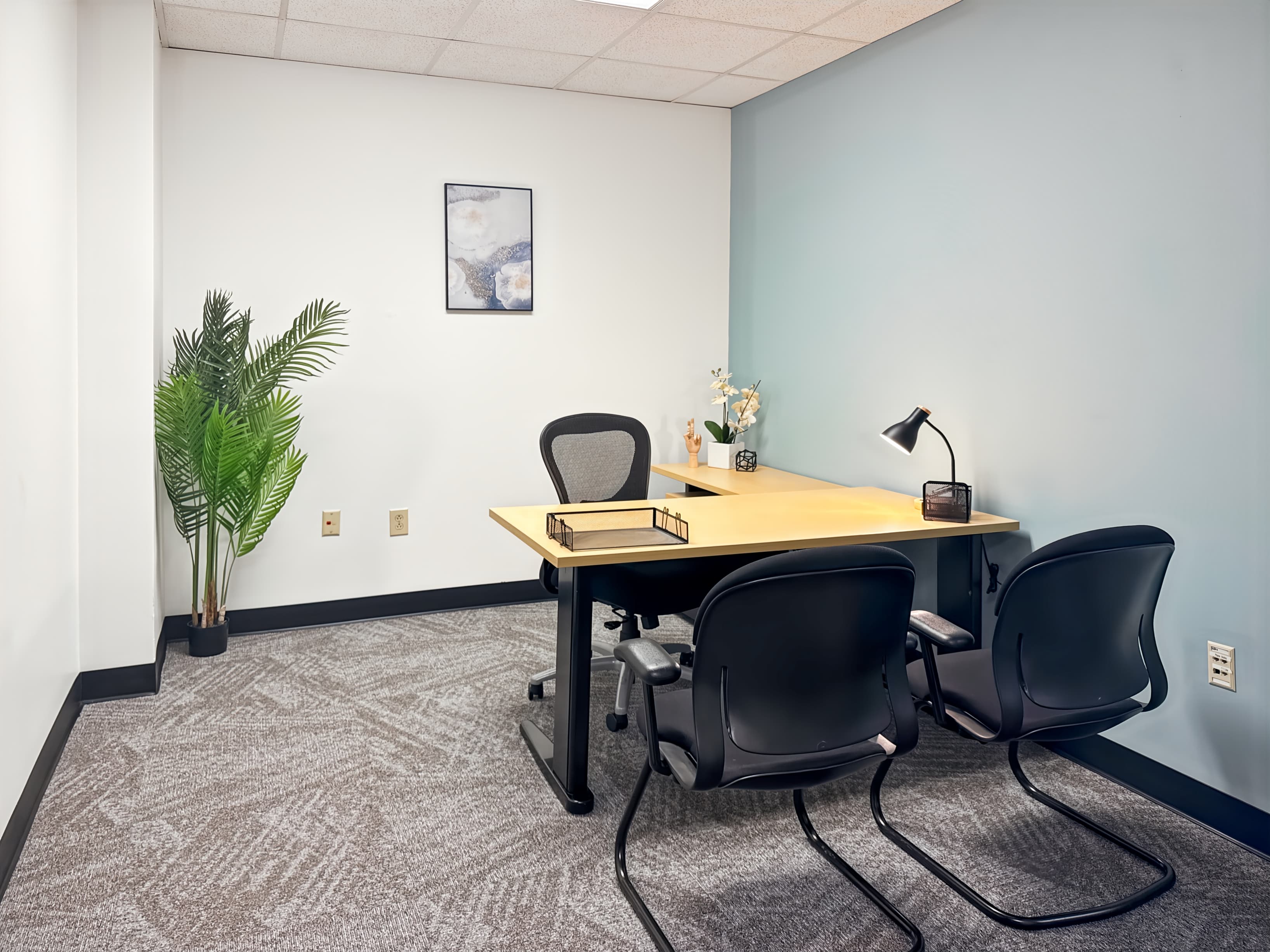 TN, Nashville - West End (HQ) image 9