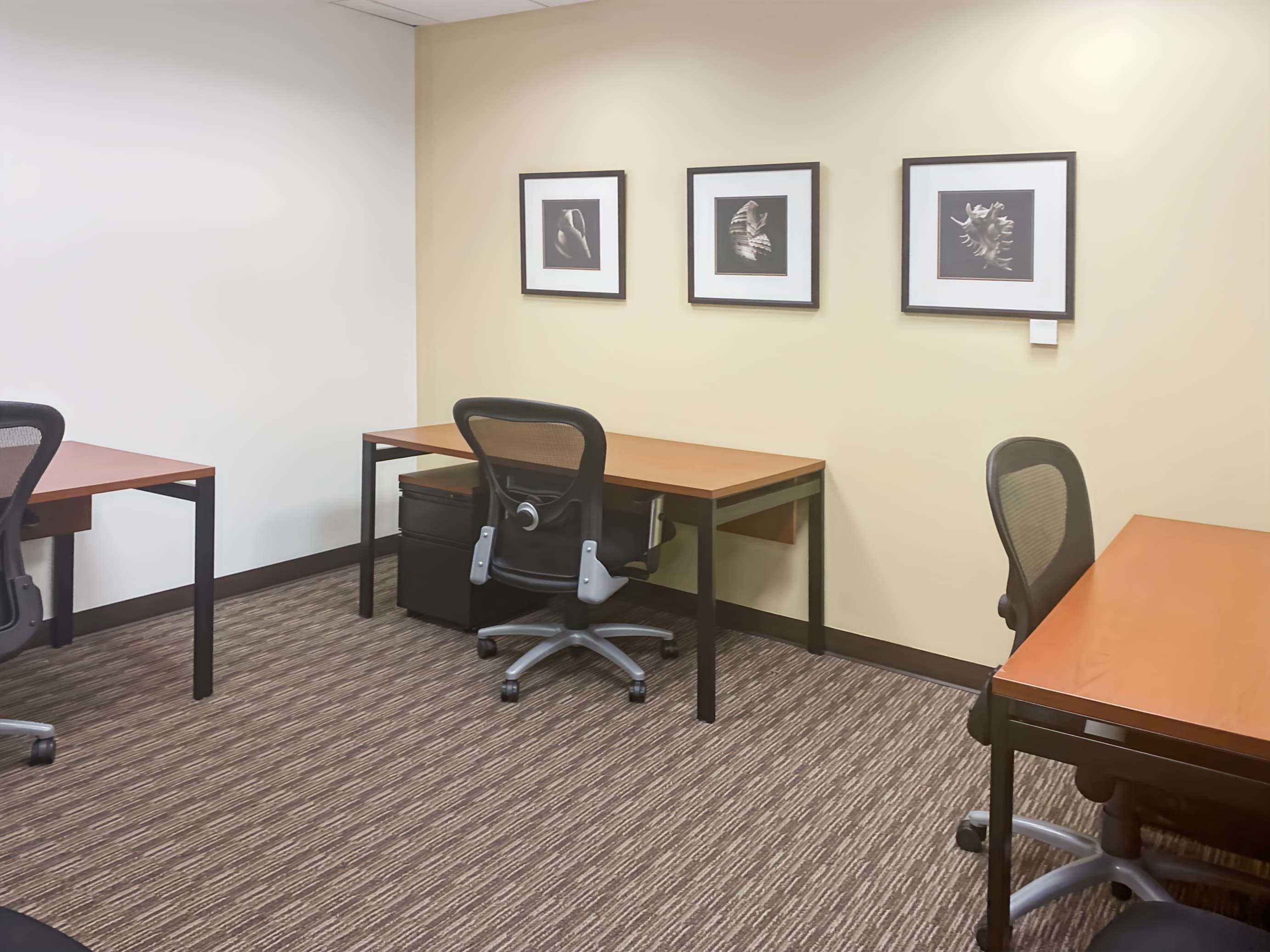 VA, Vienna - Towers Crescent image 8