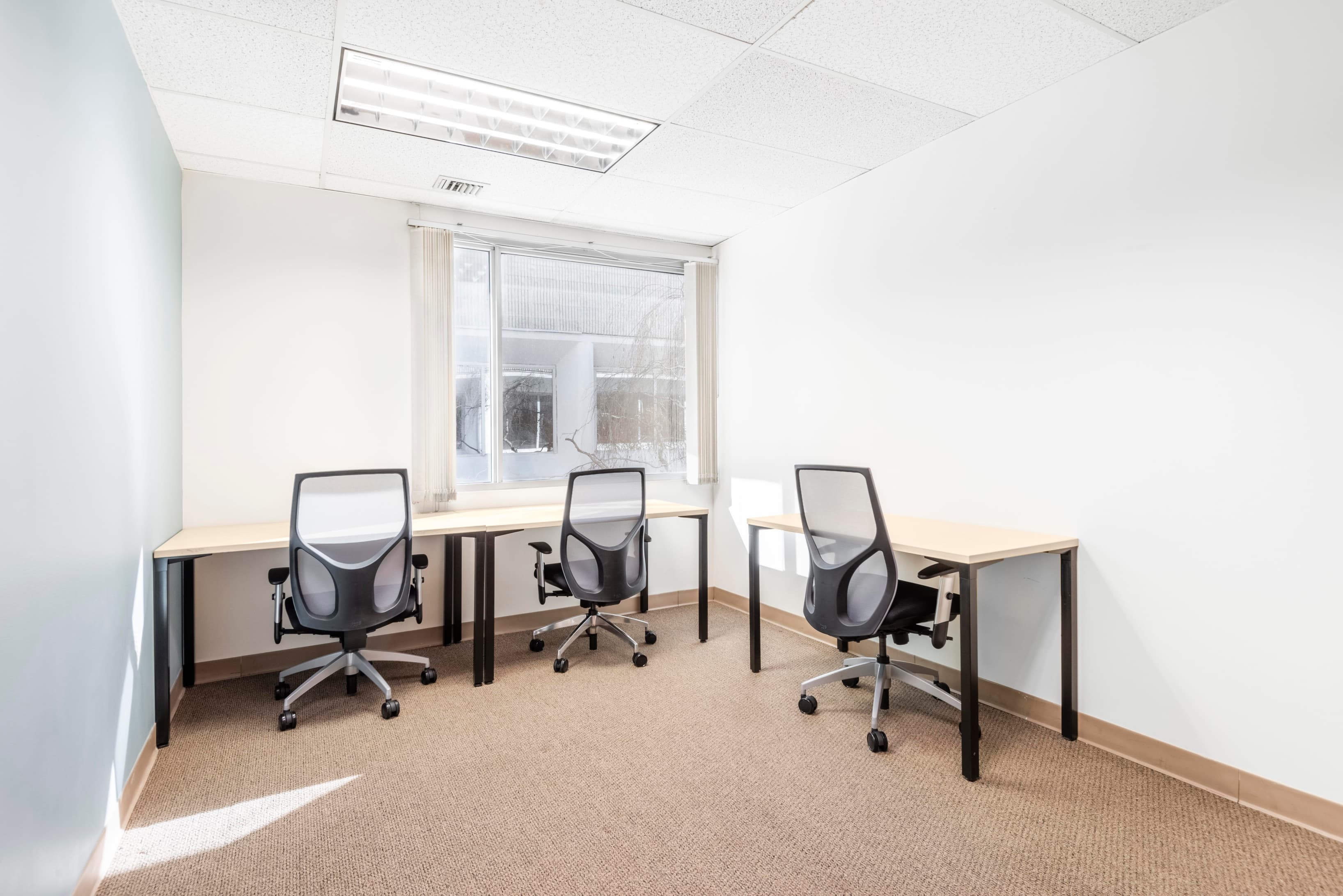 NY, Bohemia - Bohemia (HQ) image 2 NY, Bohemia - Bohemia (HQ) image 2