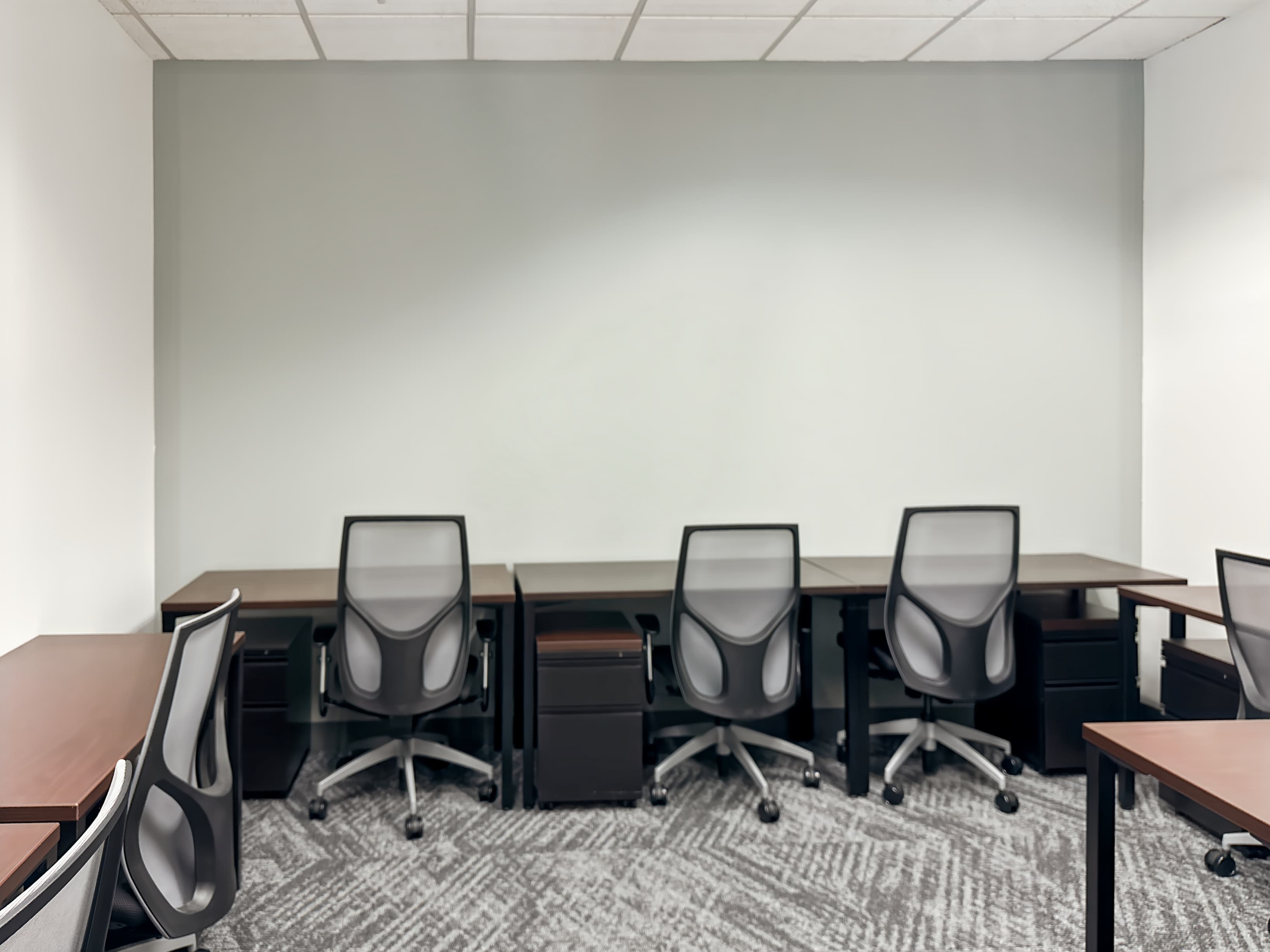 TX, Dallas - Turtle Creek (HQ) image 9