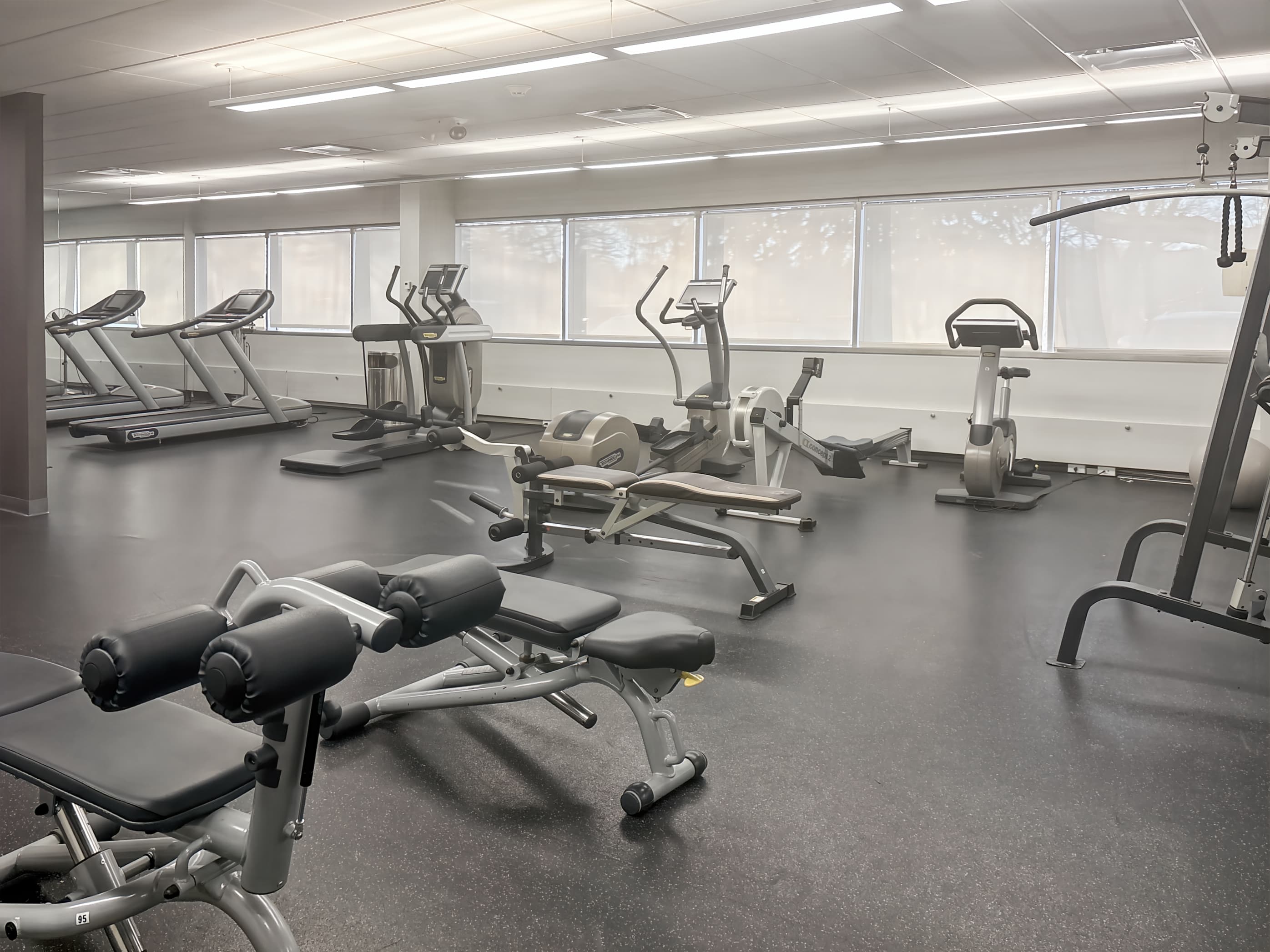 NY, Rye - Rye image 8