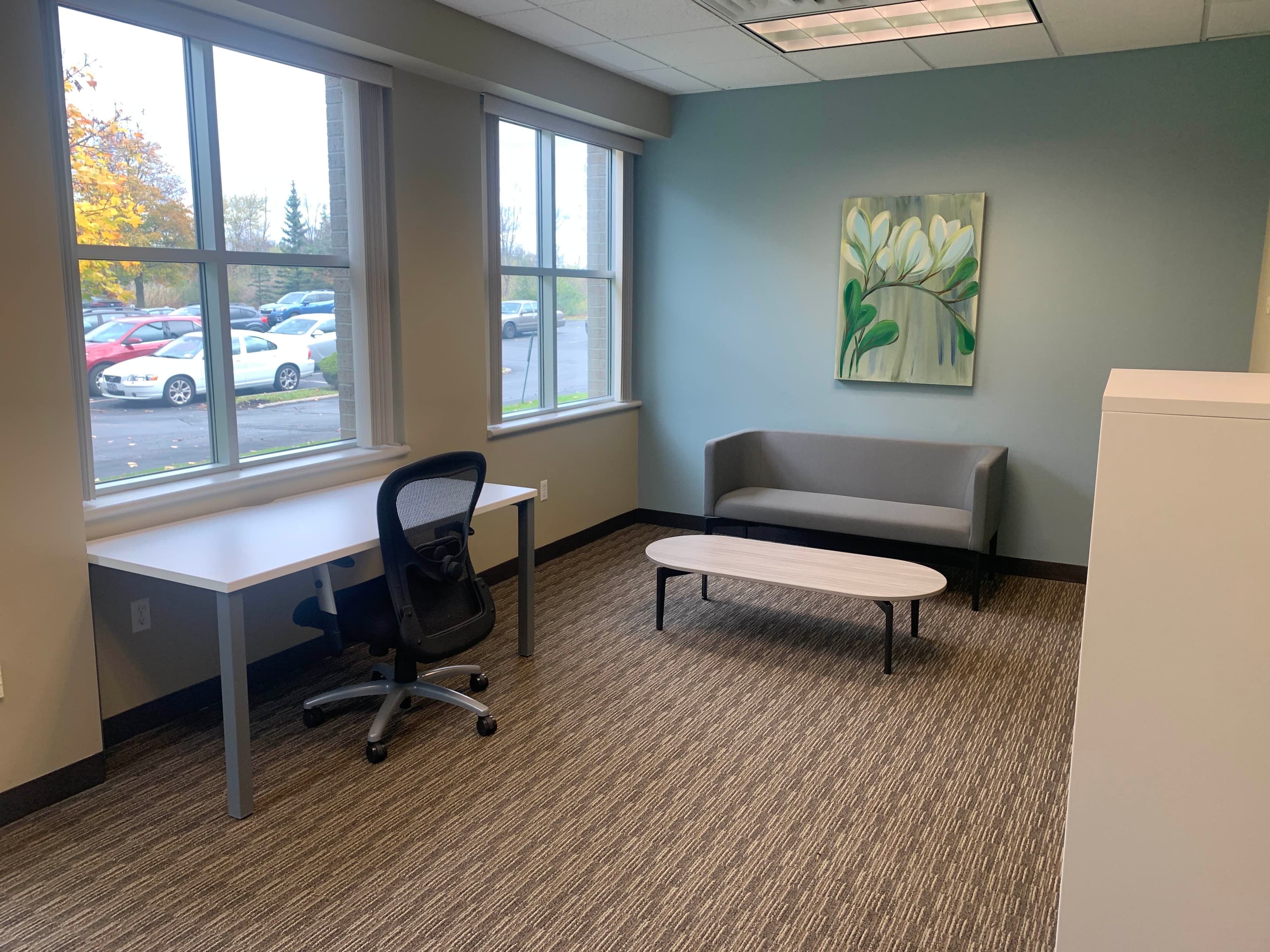 NY, Williamsville - Buffalo - North Towns image 7 NY, Williamsville - Buffalo - North Towns image 7