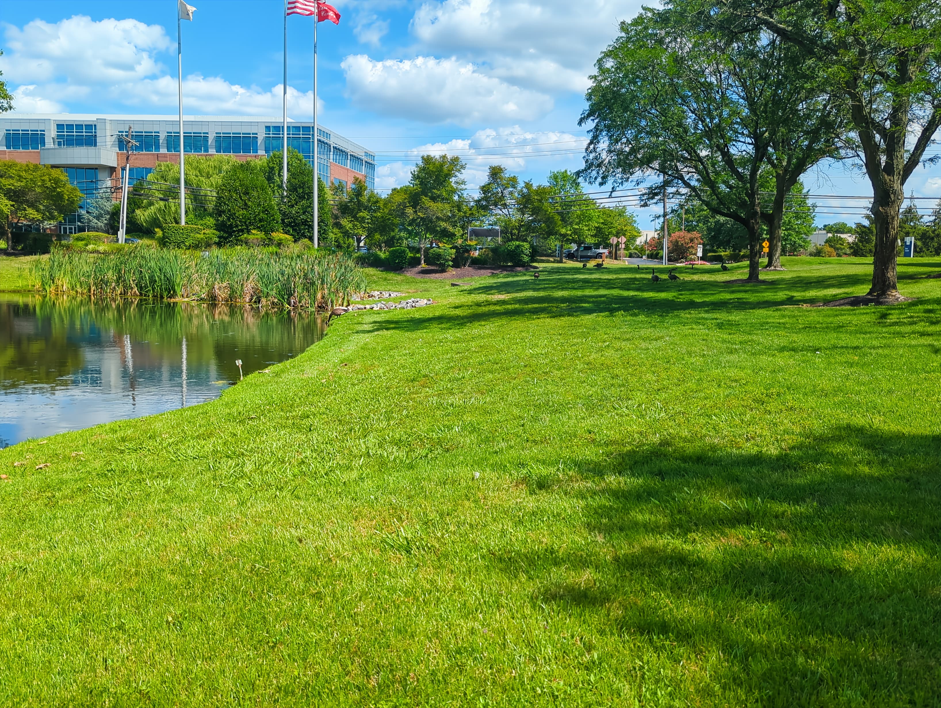 NJ, Mt. Laurel - Mt Laurel (HQ) image 12