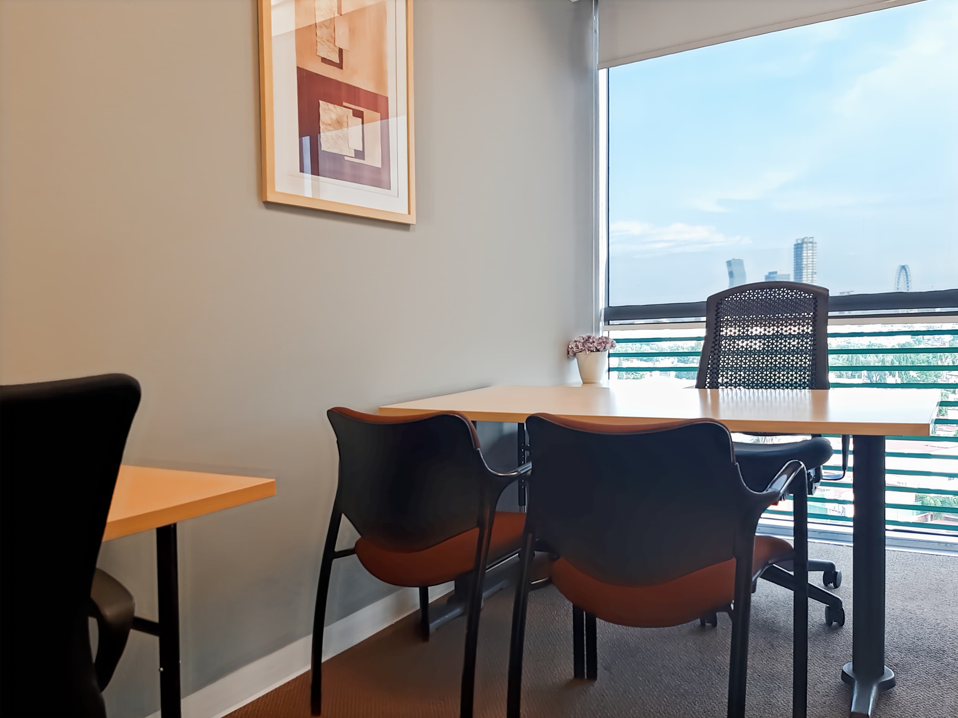 PUEBLA, Triangulo Las Animas image 13