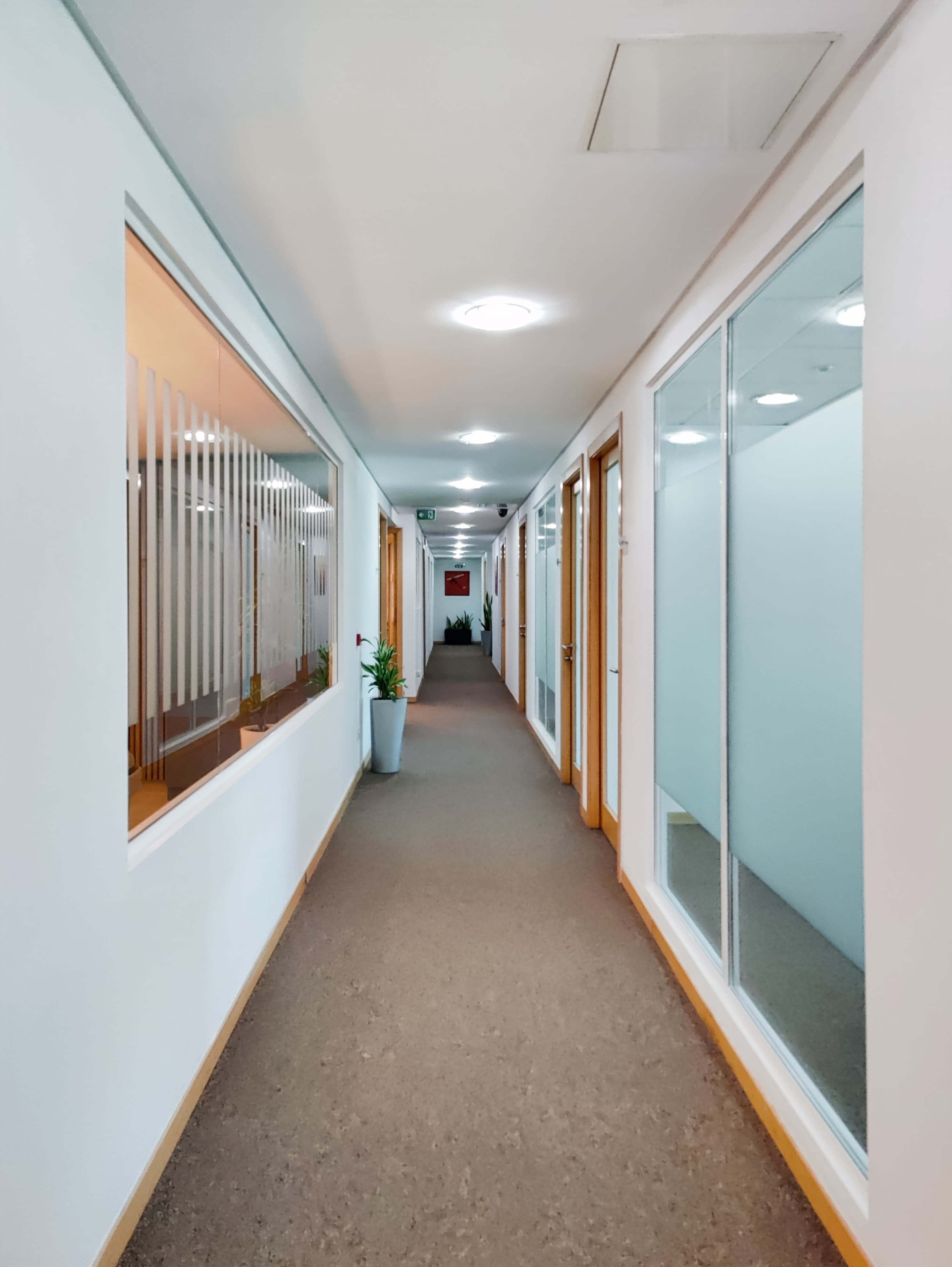 SWATAR, City Center image 5