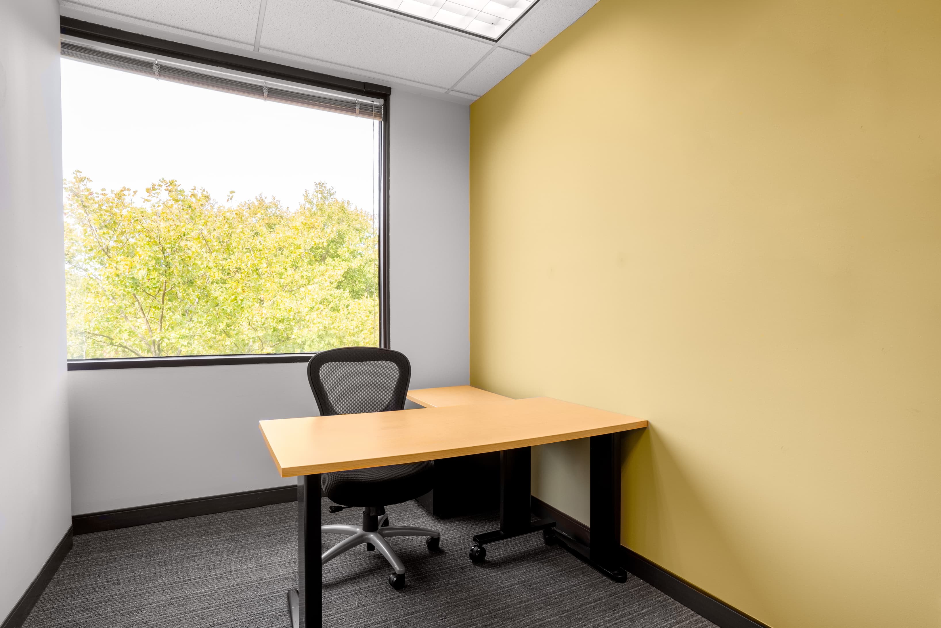 NJ, Princeton - Carnegie Center image 9 NJ, Princeton - Carnegie Center image 9