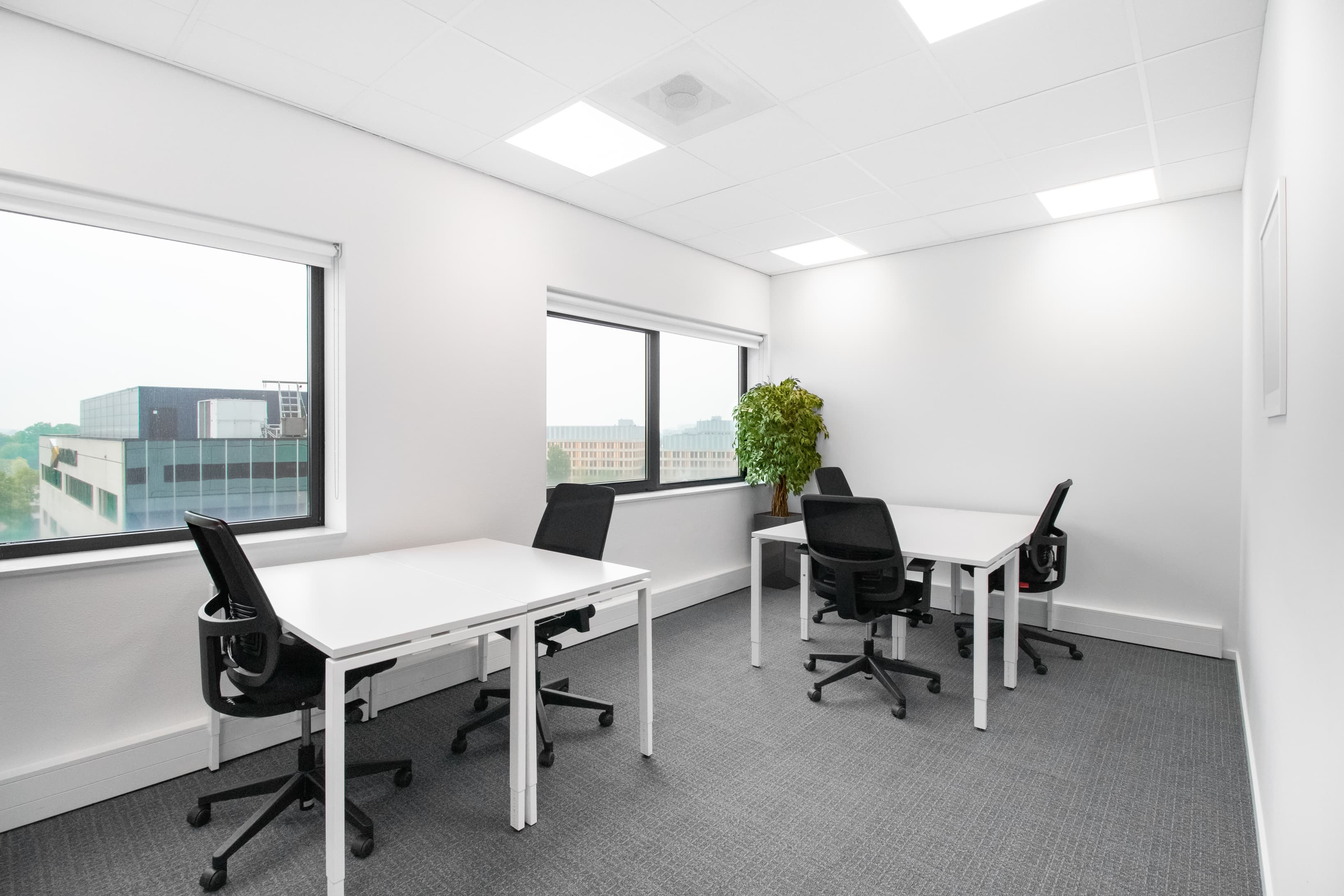 Breda, Business Park #1452 image 4