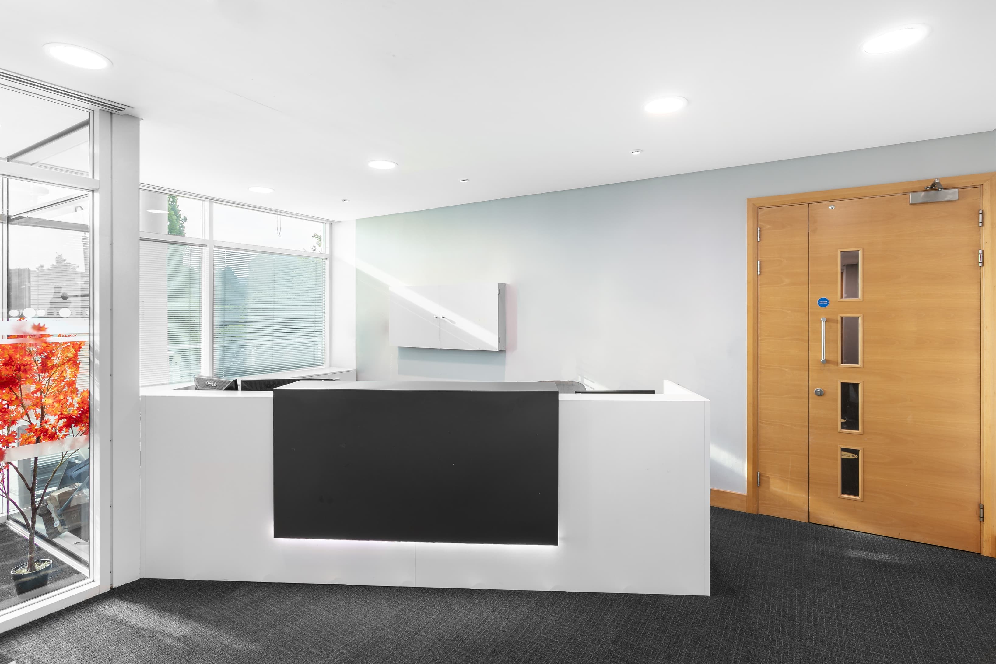 LUTON, Capability Green image 8