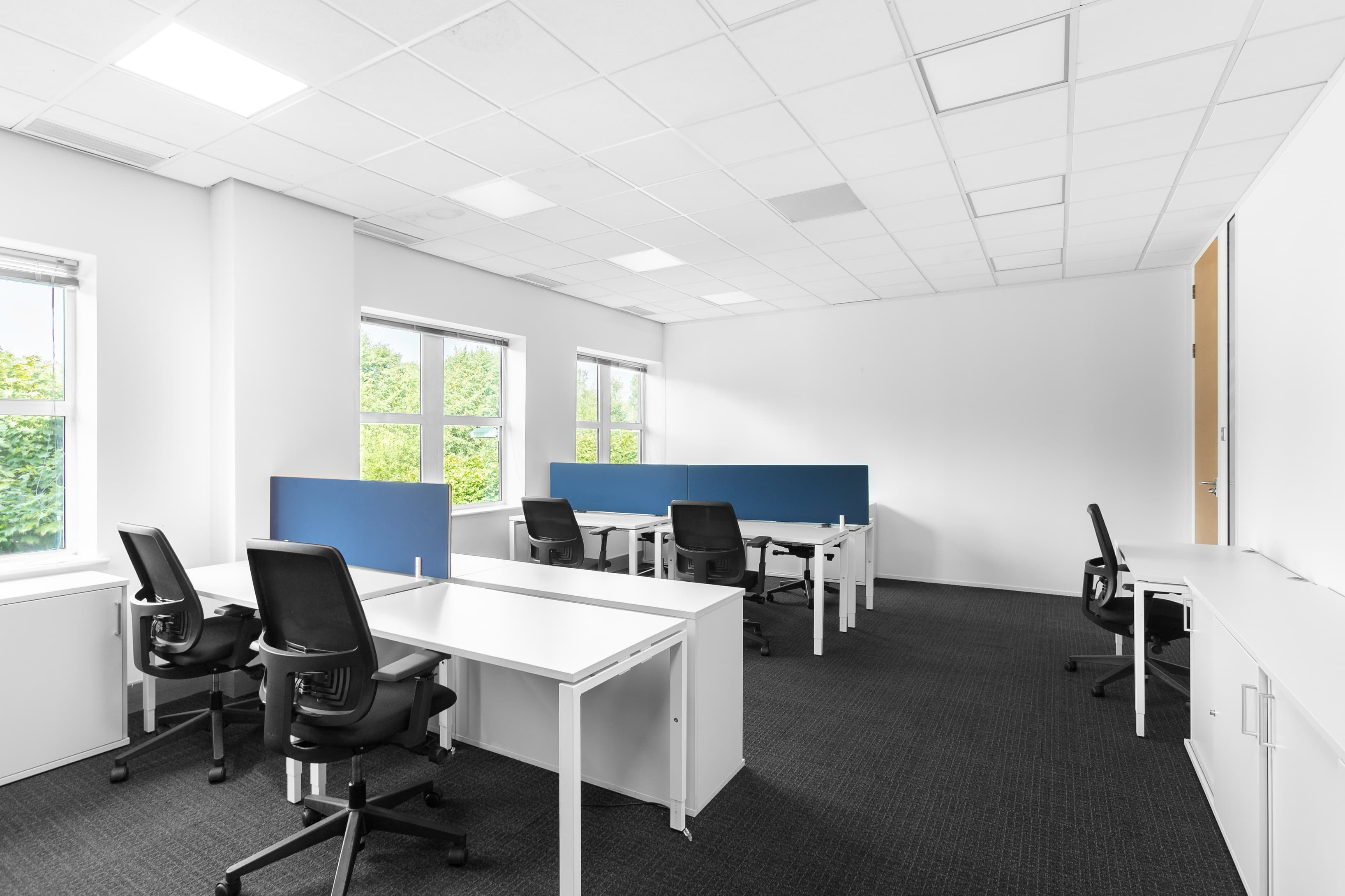 LUTON, Capability Green image 6