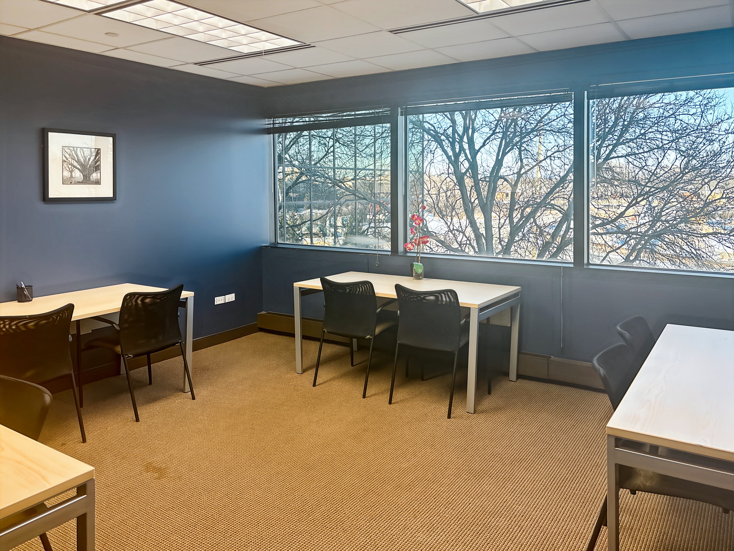 IL, Skokie – Old Orchard image 13