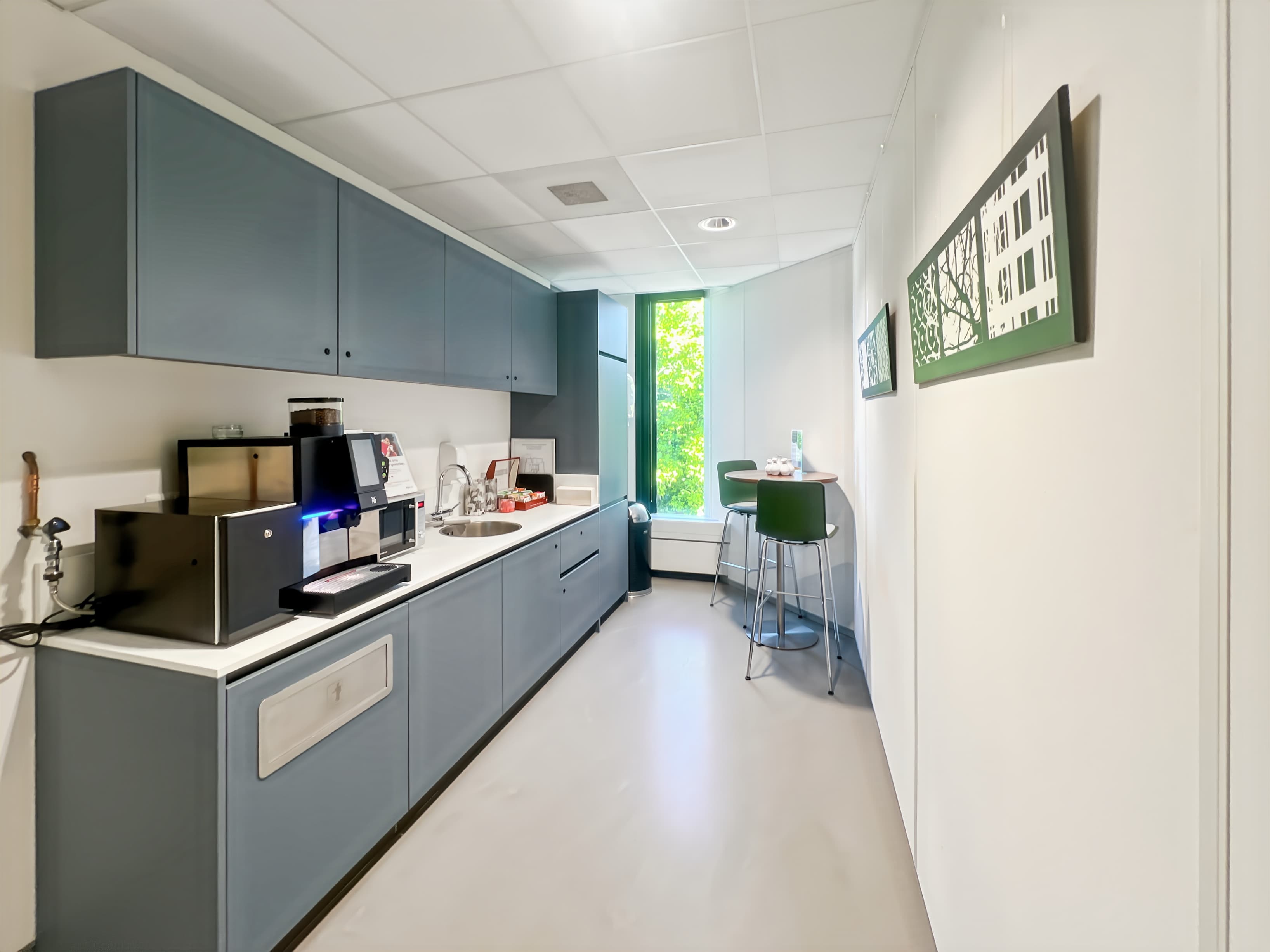 AMSTERDAM, Amsterdamse Bos image 1