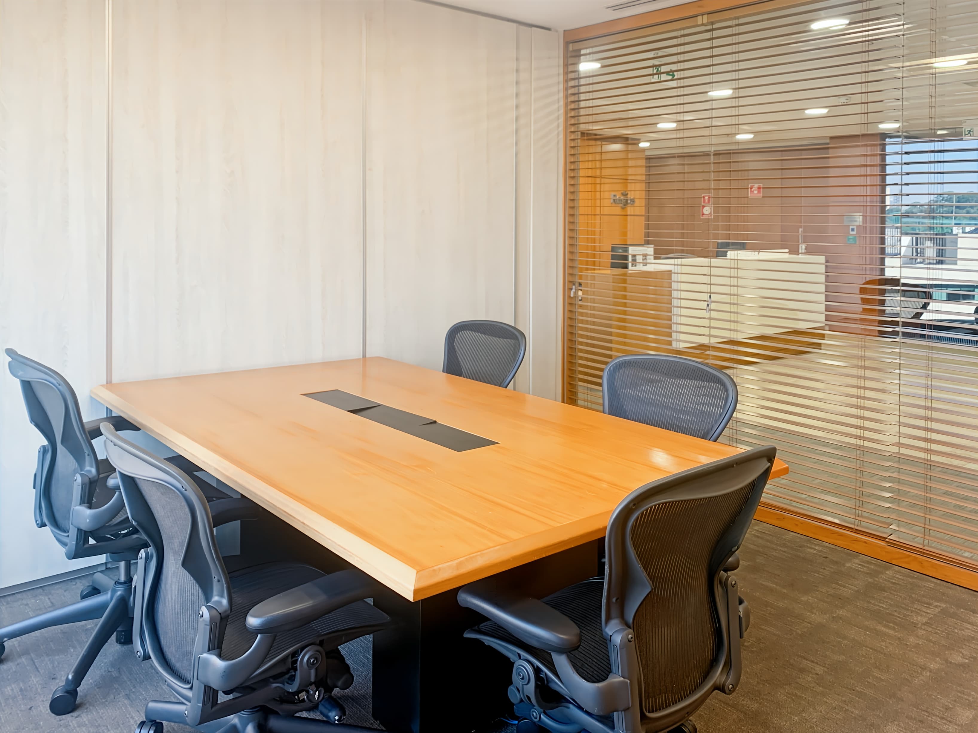 SAO PAULO, Chacara Santo Antonio, Alexandre Dumas image 10