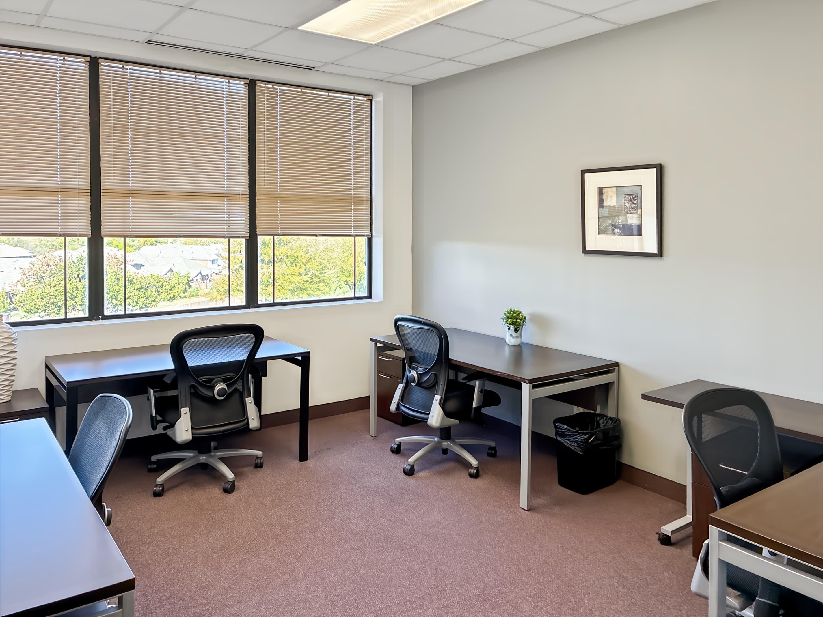 TX, Grapevine- Vineyard Center II image 5