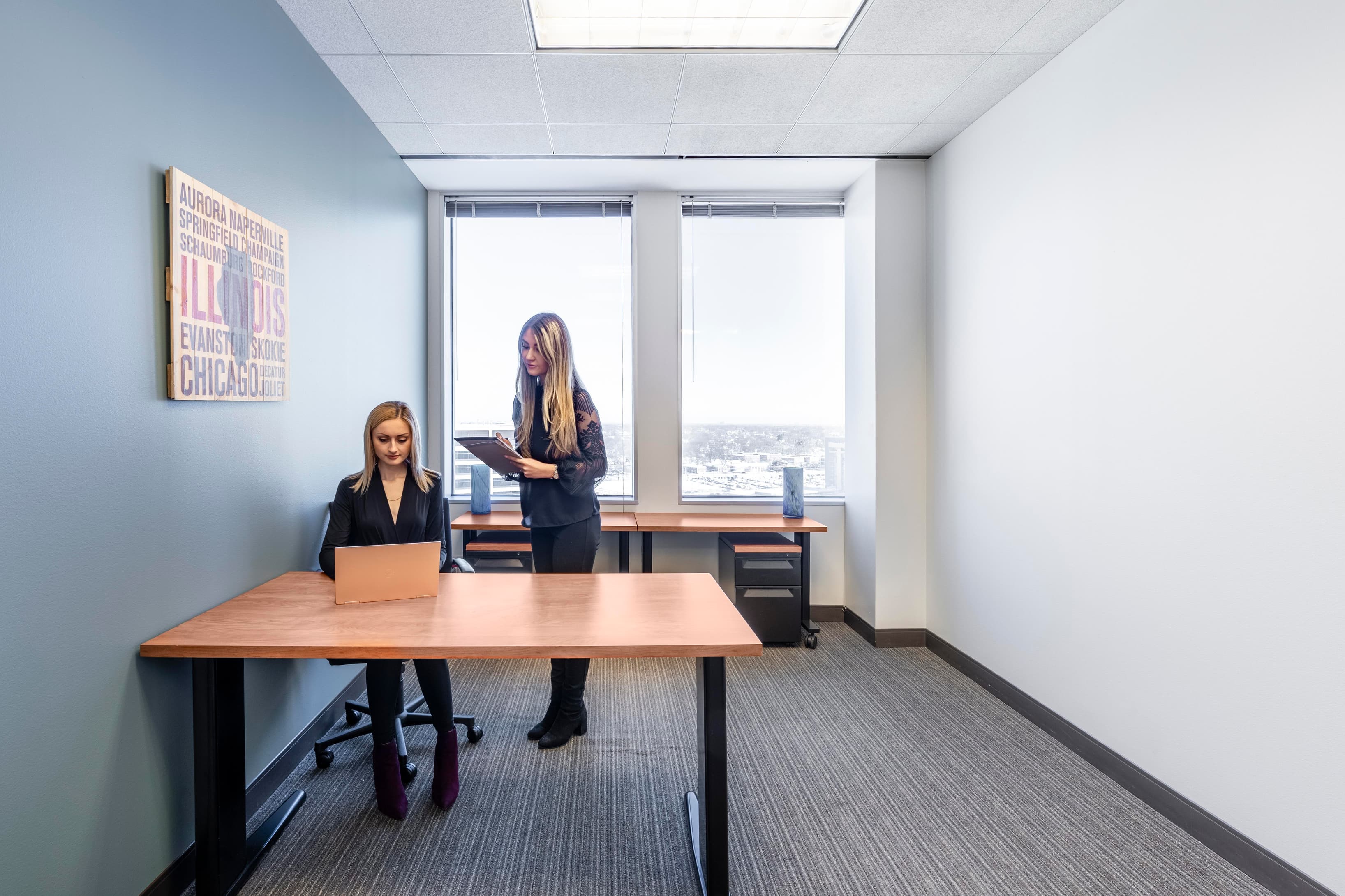 IL, Chicago - O'Hare Airport image 8