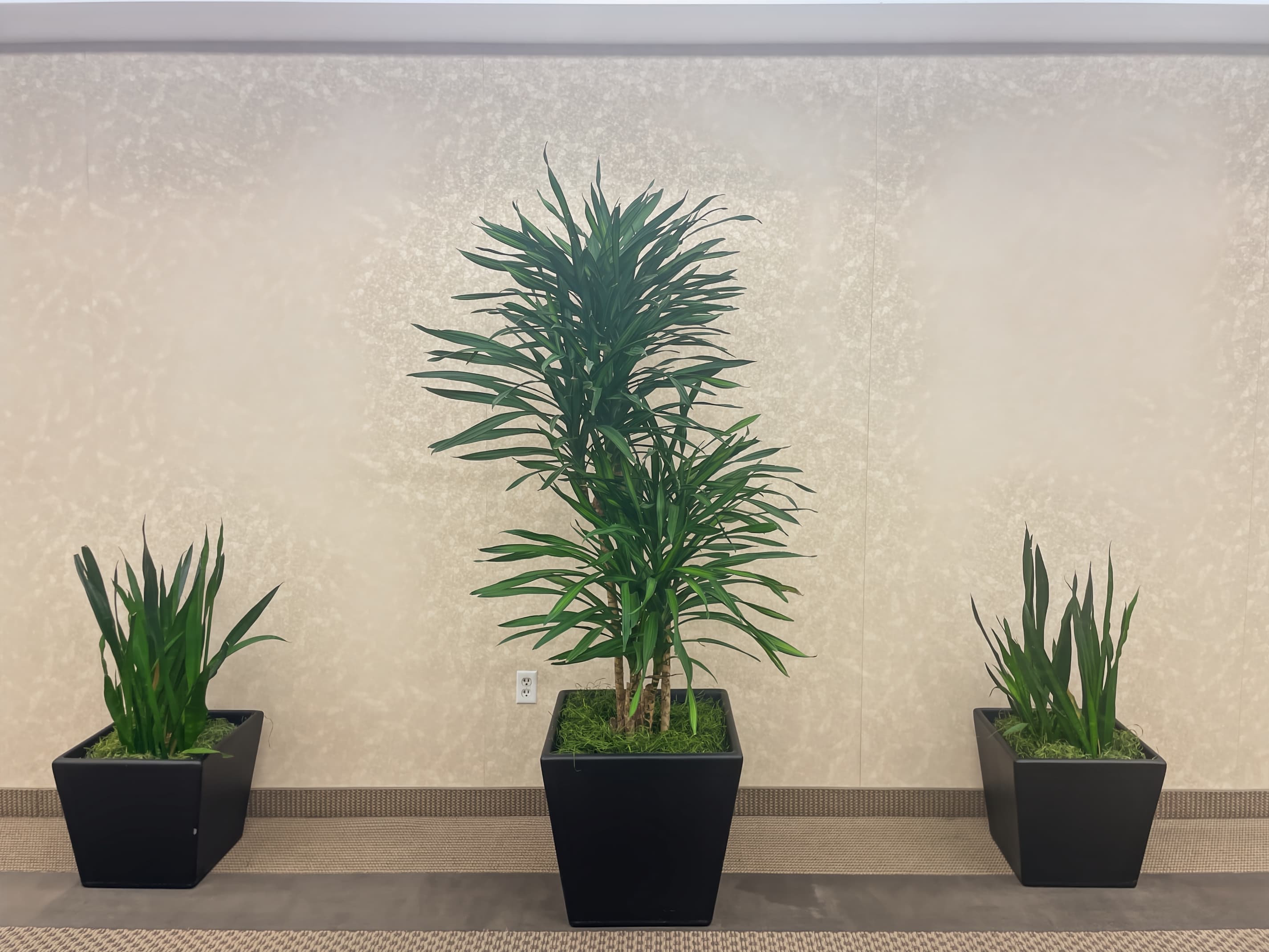 TN, Knoxville - First Horizon Plaza image 2