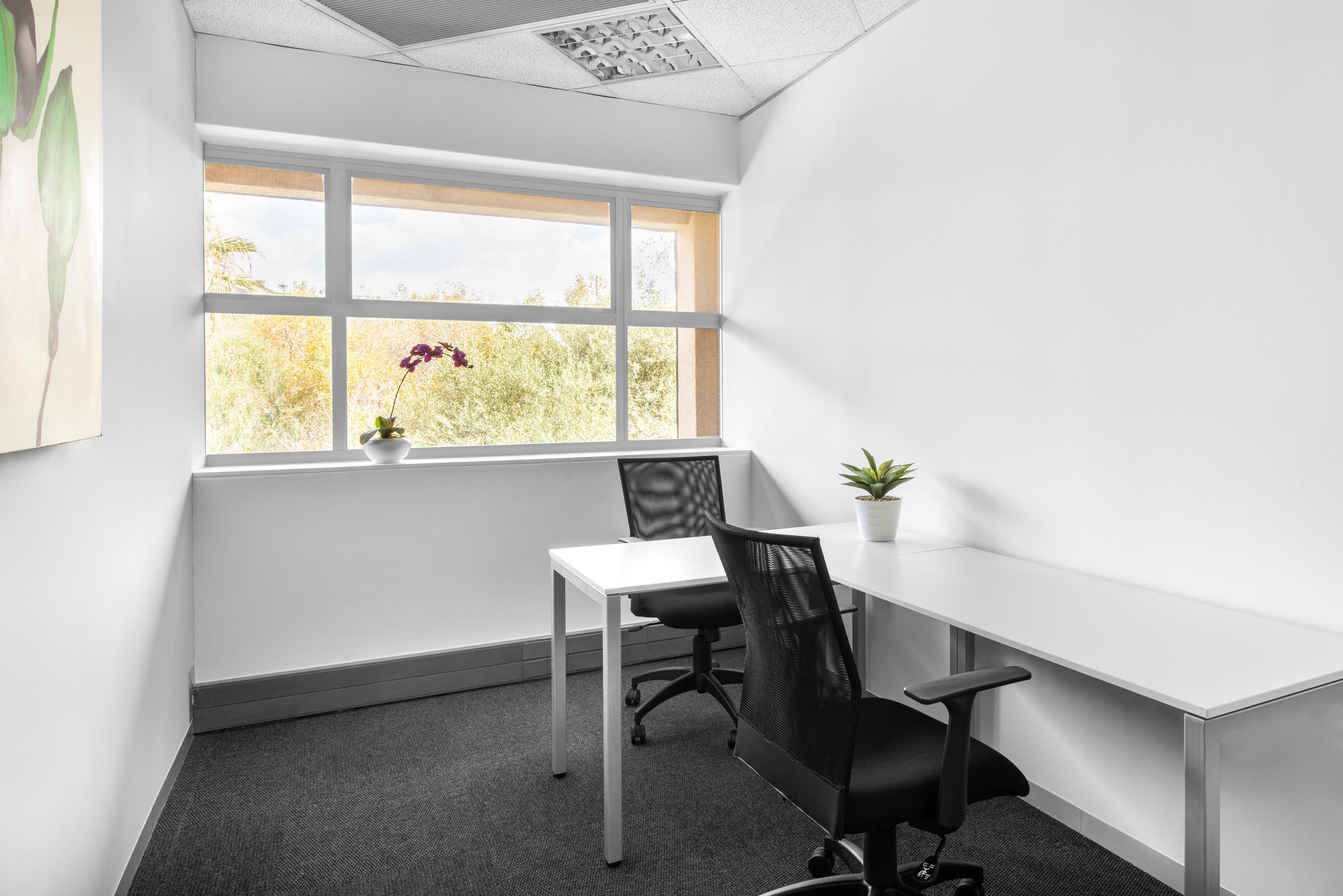 JOHANNESBURG, Parktown image 8 JOHANNESBURG, Parktown image 8