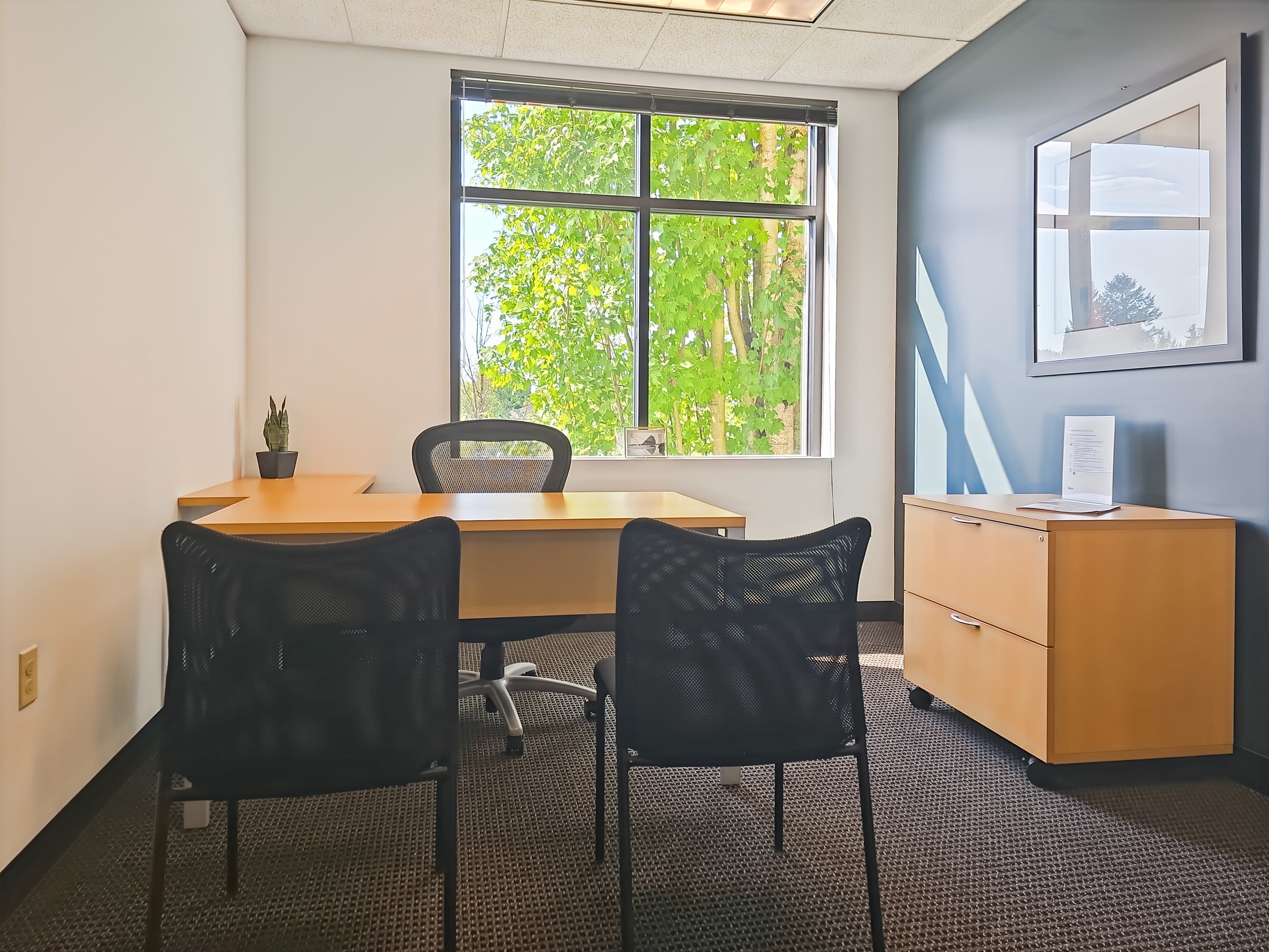 OR, Beaverton - Cornell West image 14