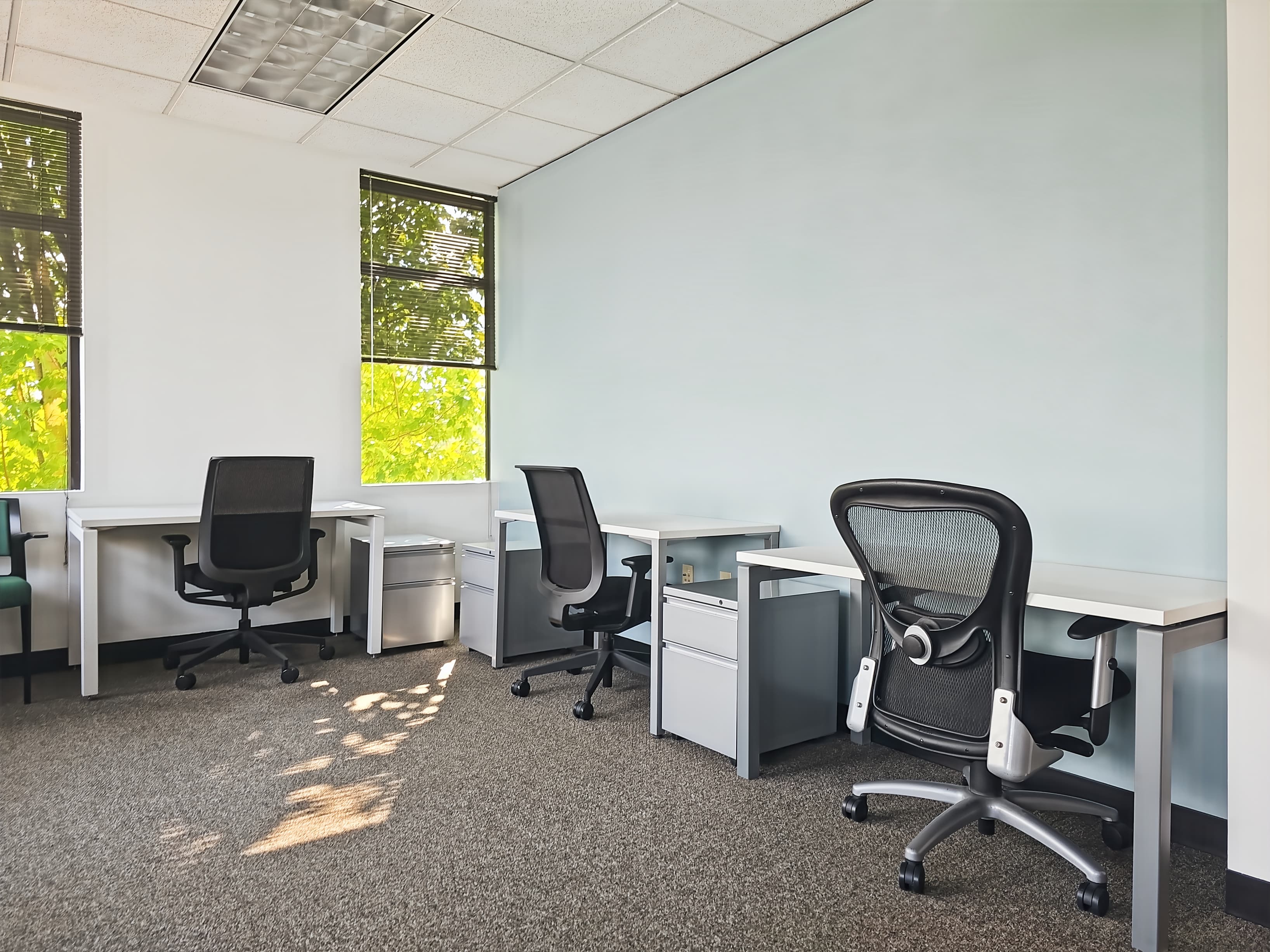 OR, Beaverton - Cornell West image 5