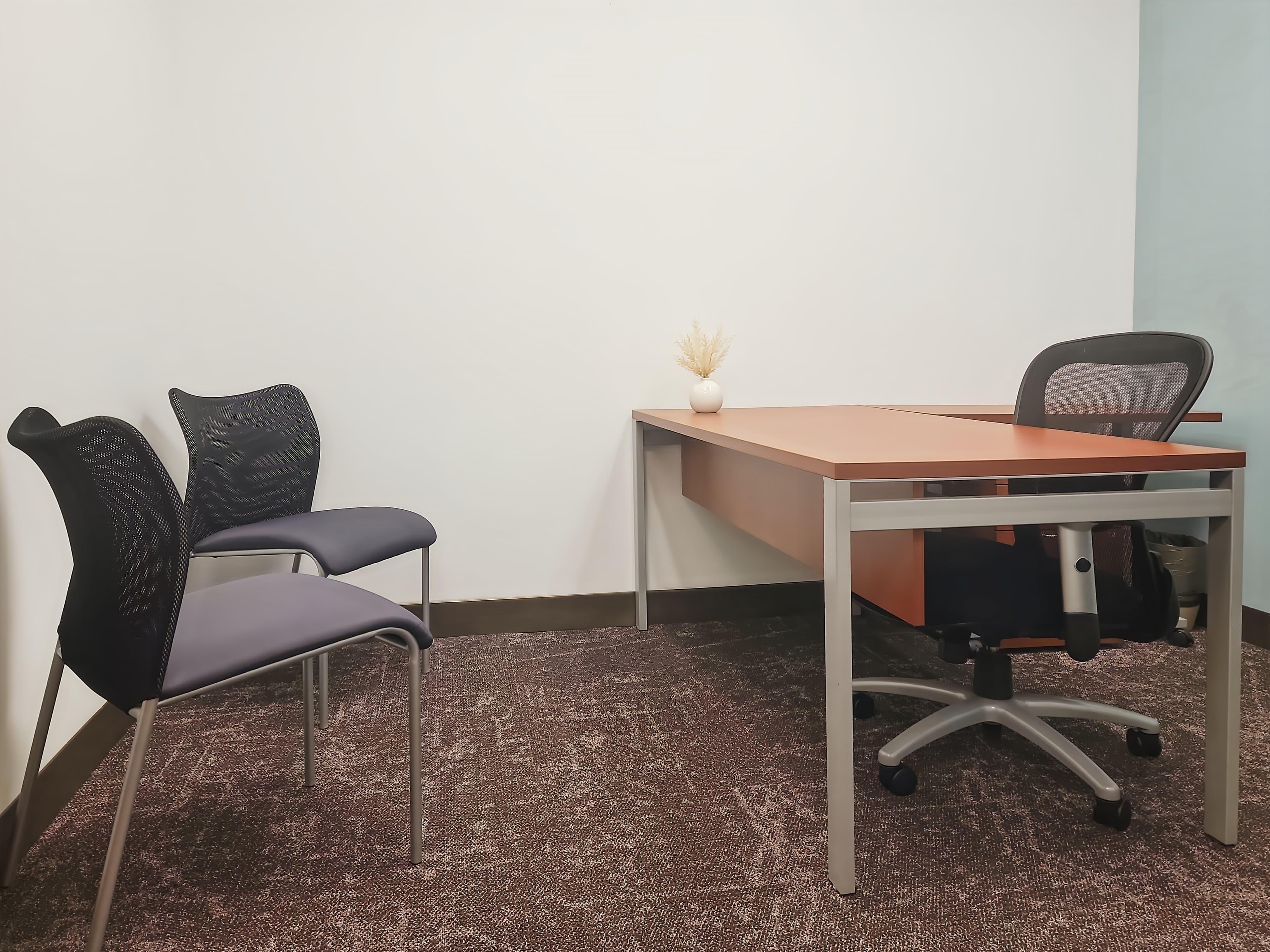 TN, Franklin - Meridian Cool Springs image 7 TN, Franklin - Meridian Cool Springs image 7