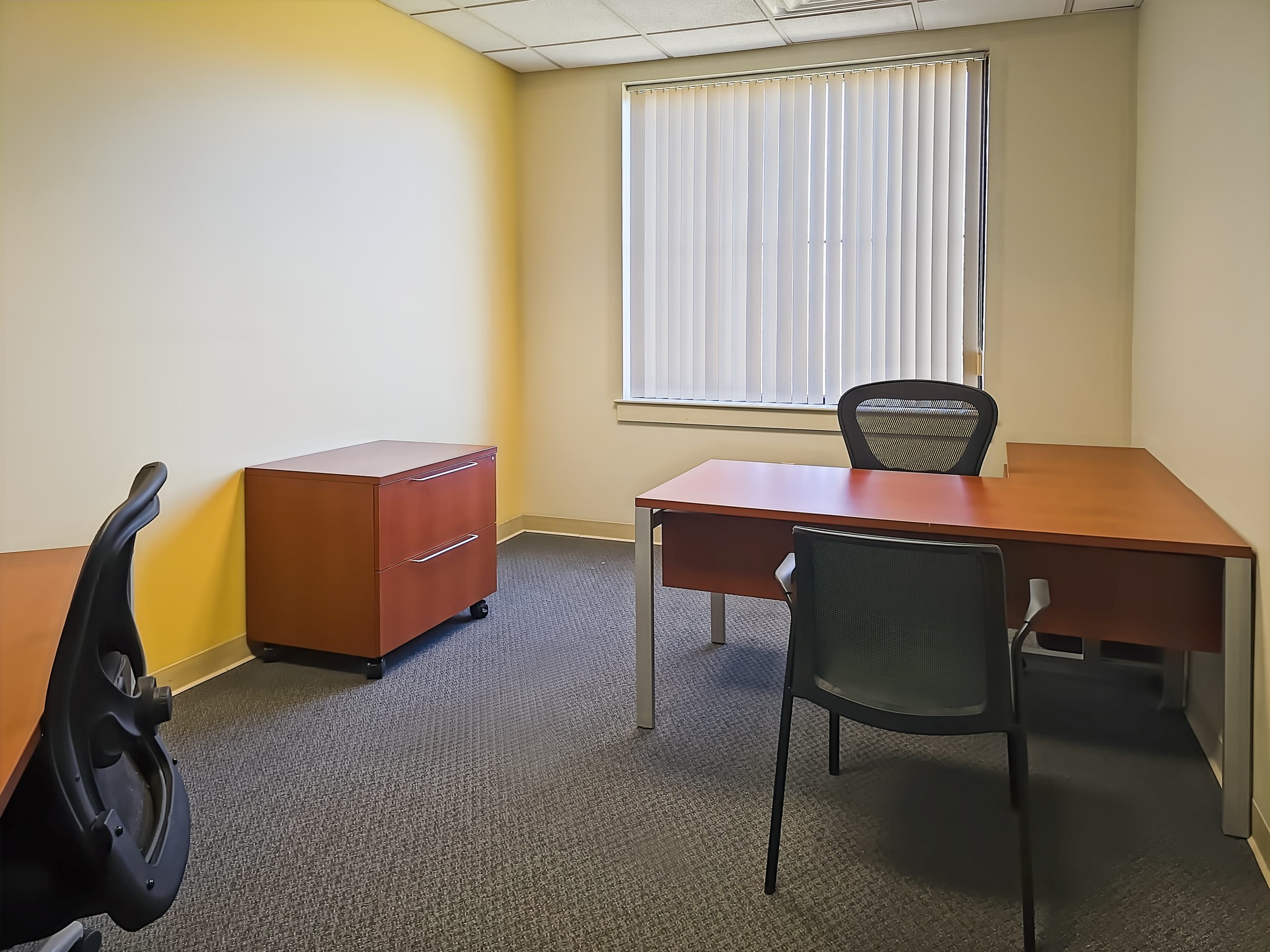 TN, Knoxville - Cedar Bluff image 4