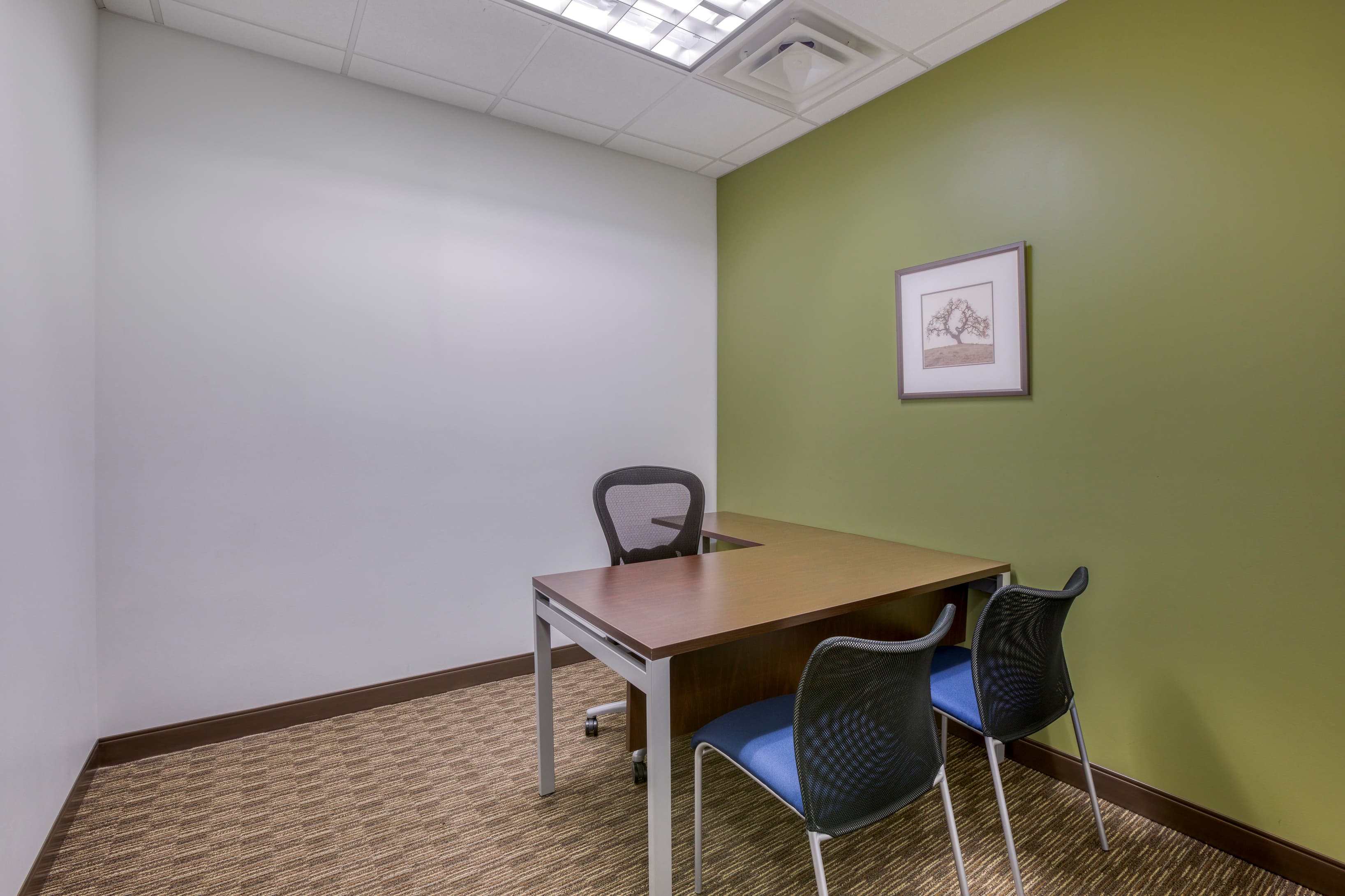 GA, Savannah - Bull Street image 8