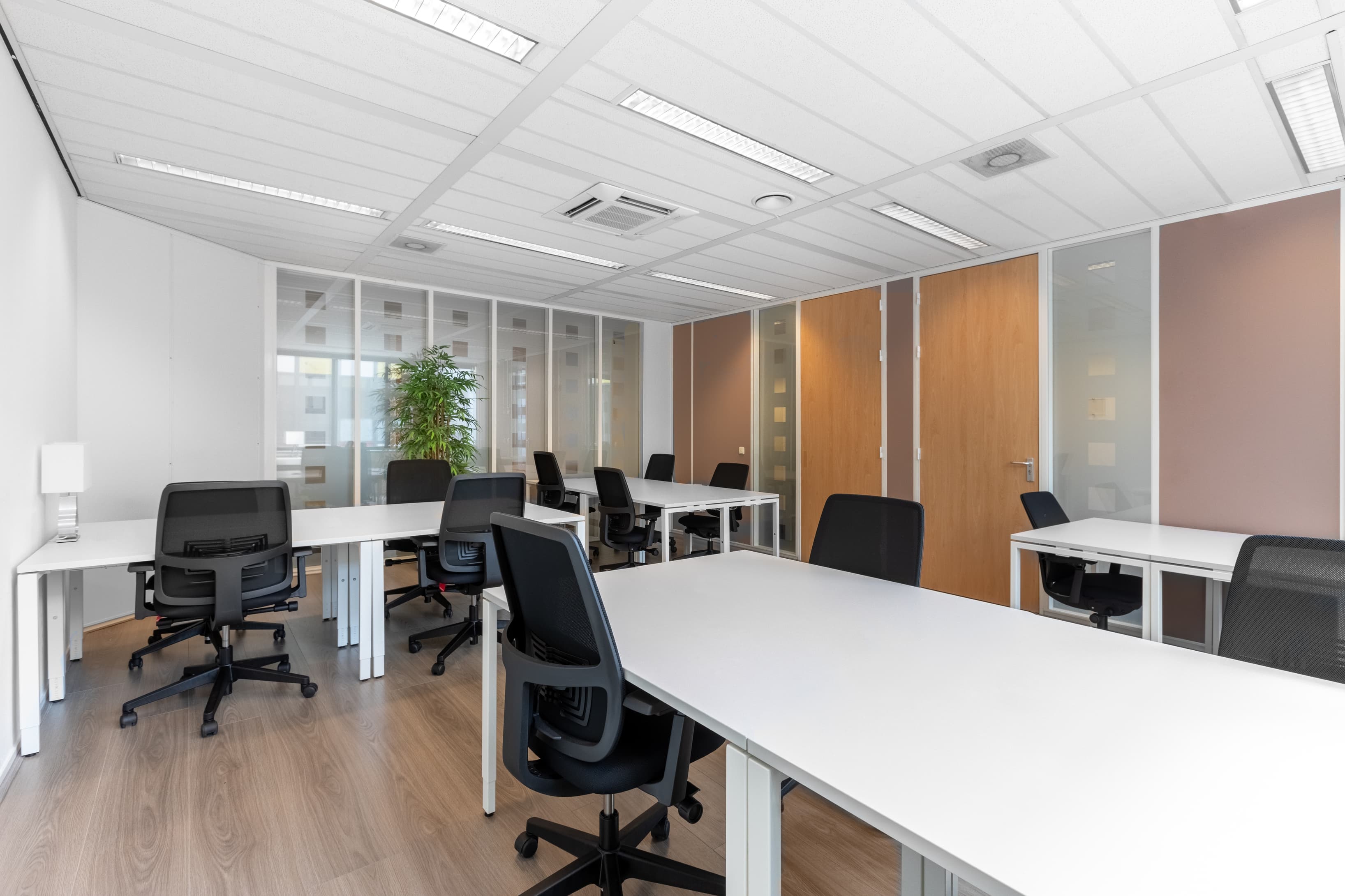 SCHIPHOL AIRPORT, Tetra image 5