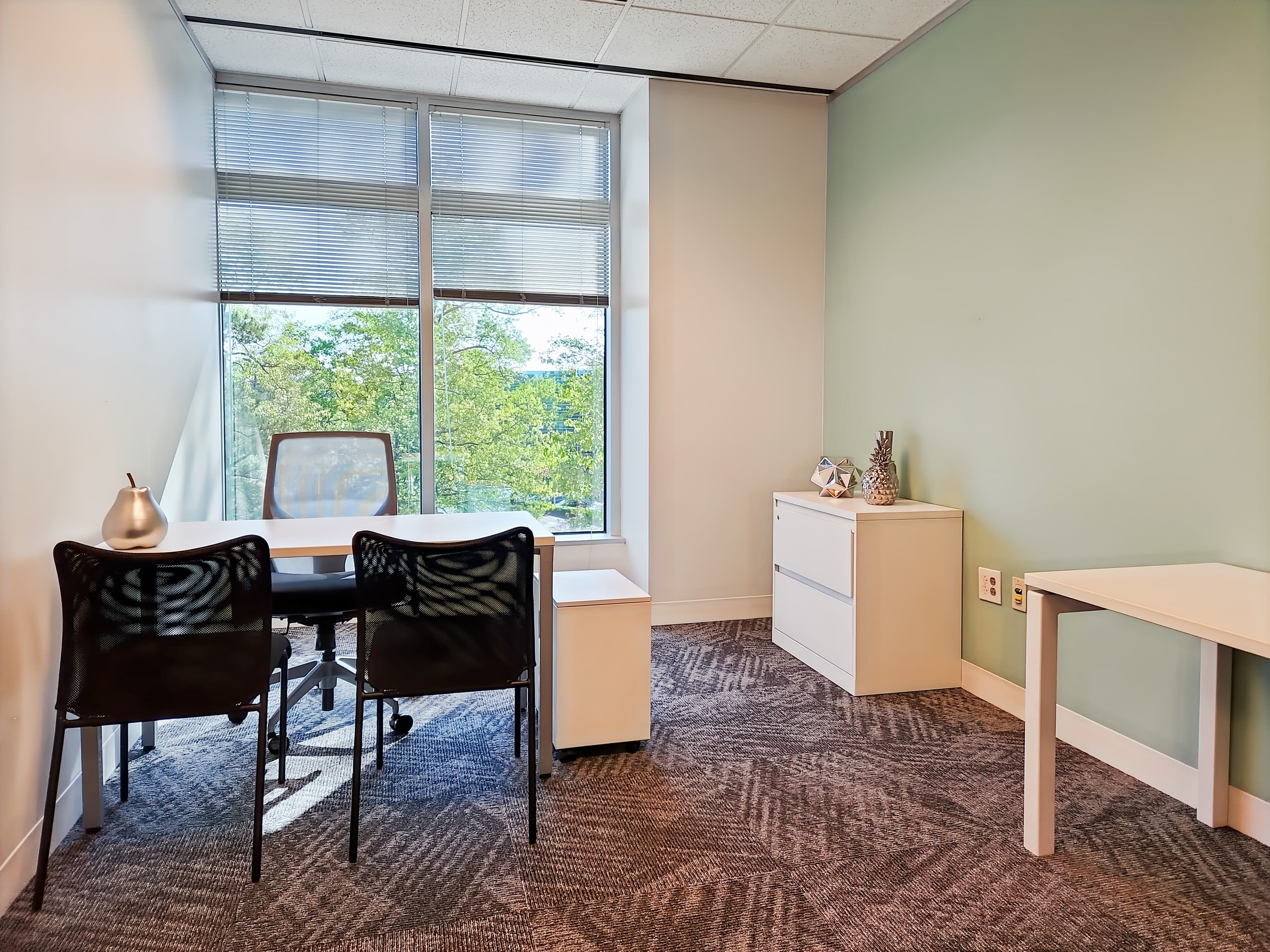 NC, Durham - RTP Meridian image 1 NC, Durham - RTP Meridian image 1