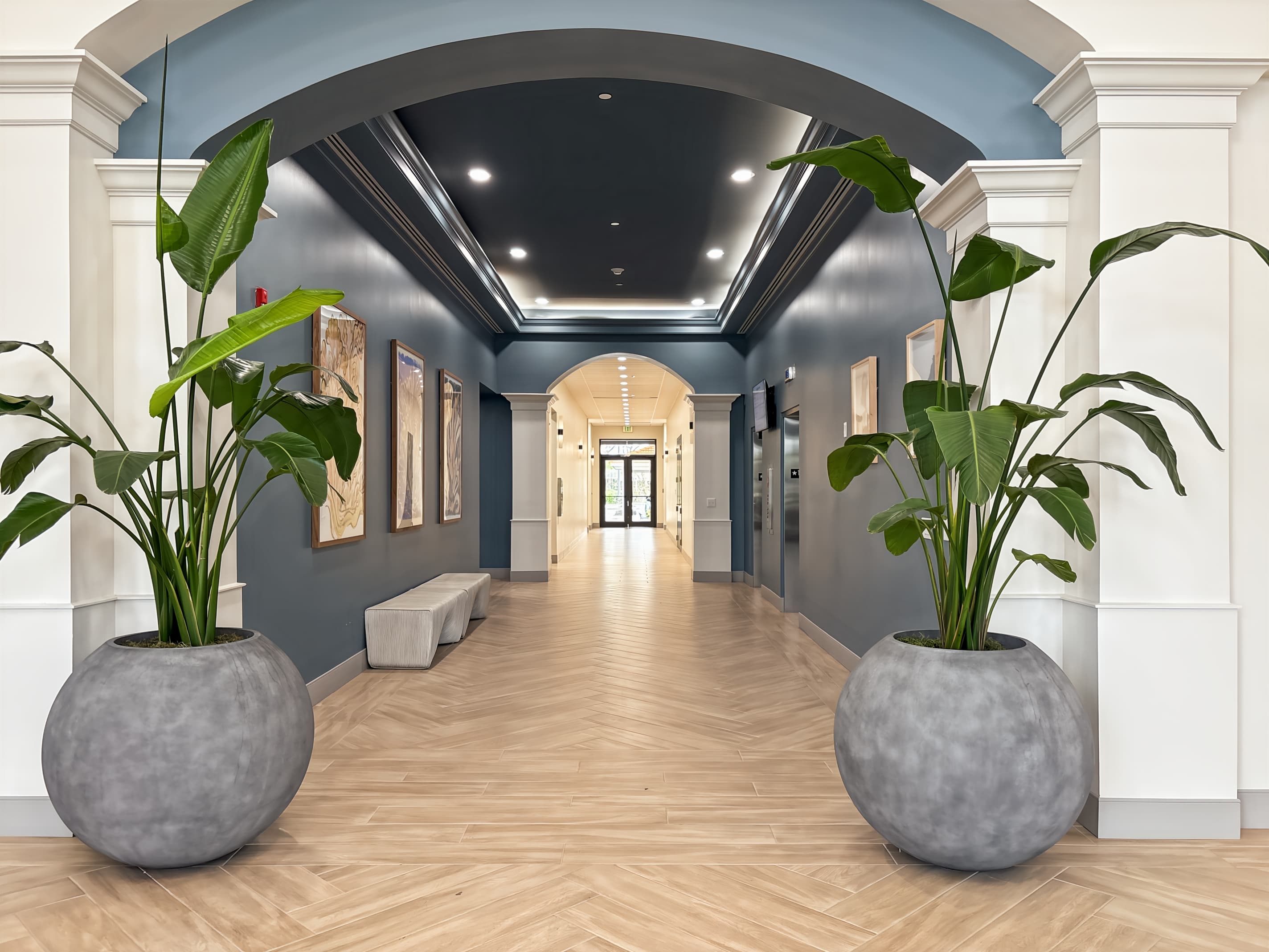 FL, Naples - Tamiami Trail image 1