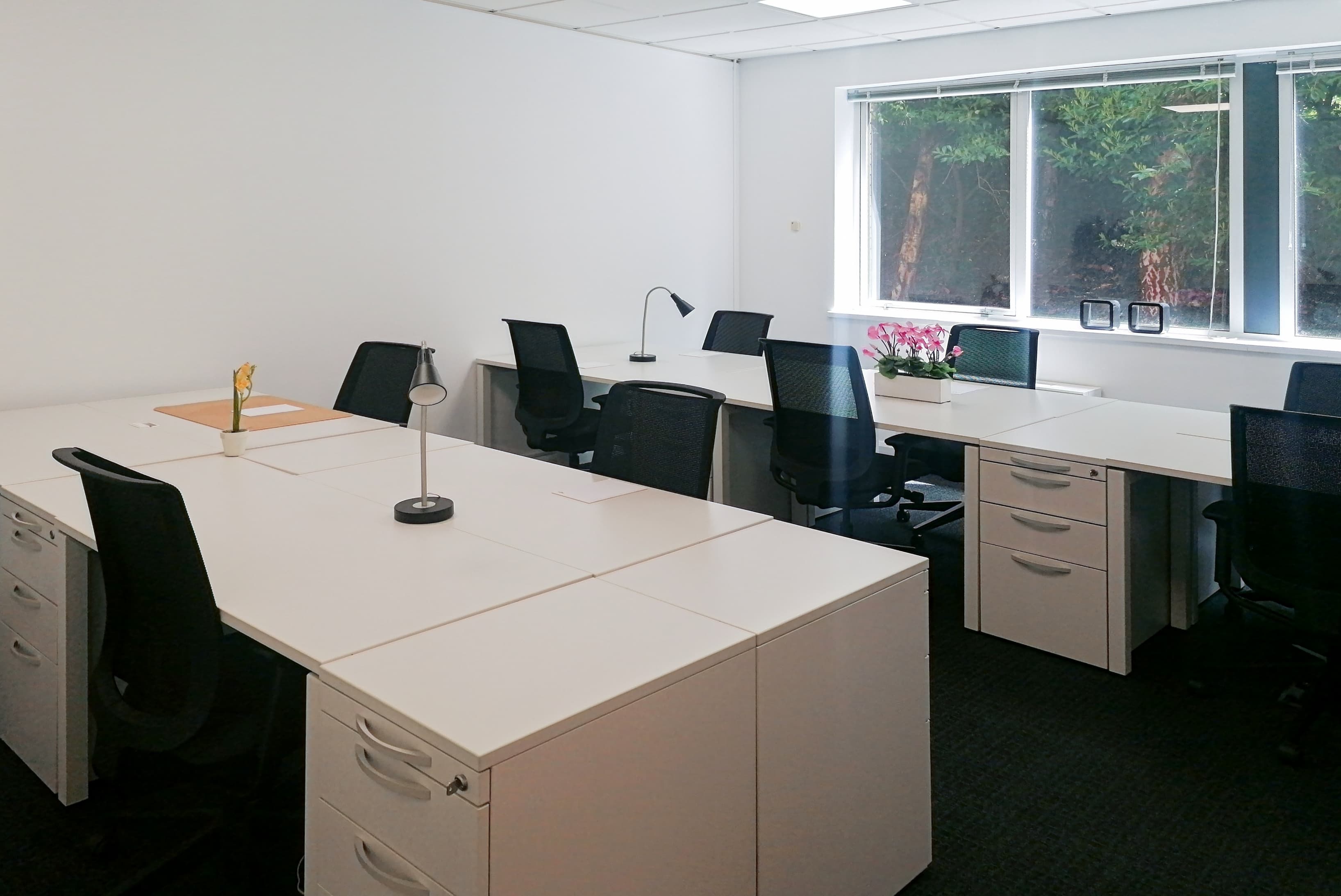 EXETER, Exeter Business Park image 9