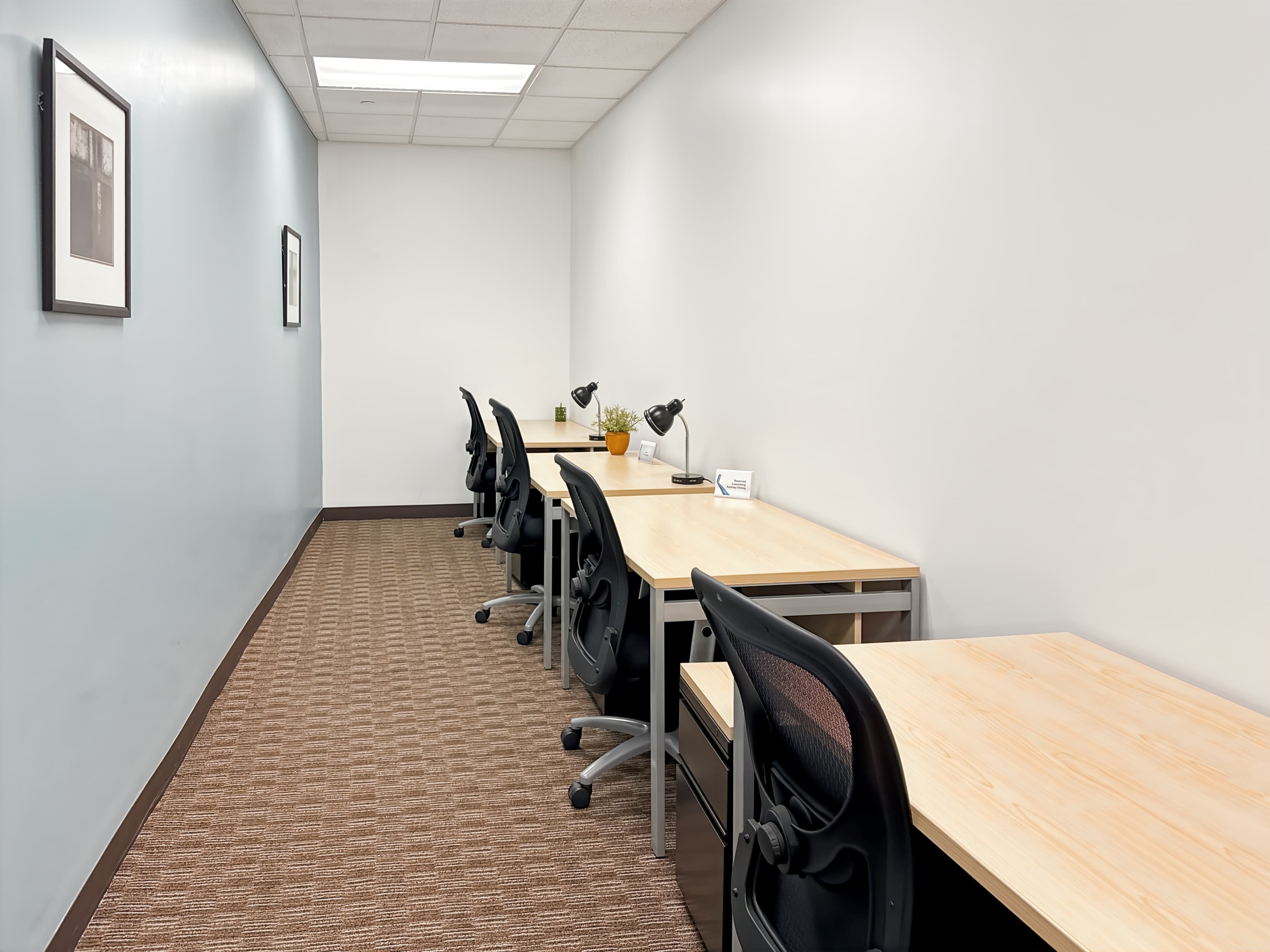 CT, Bridgeport - Downtown Bridgeport image 6