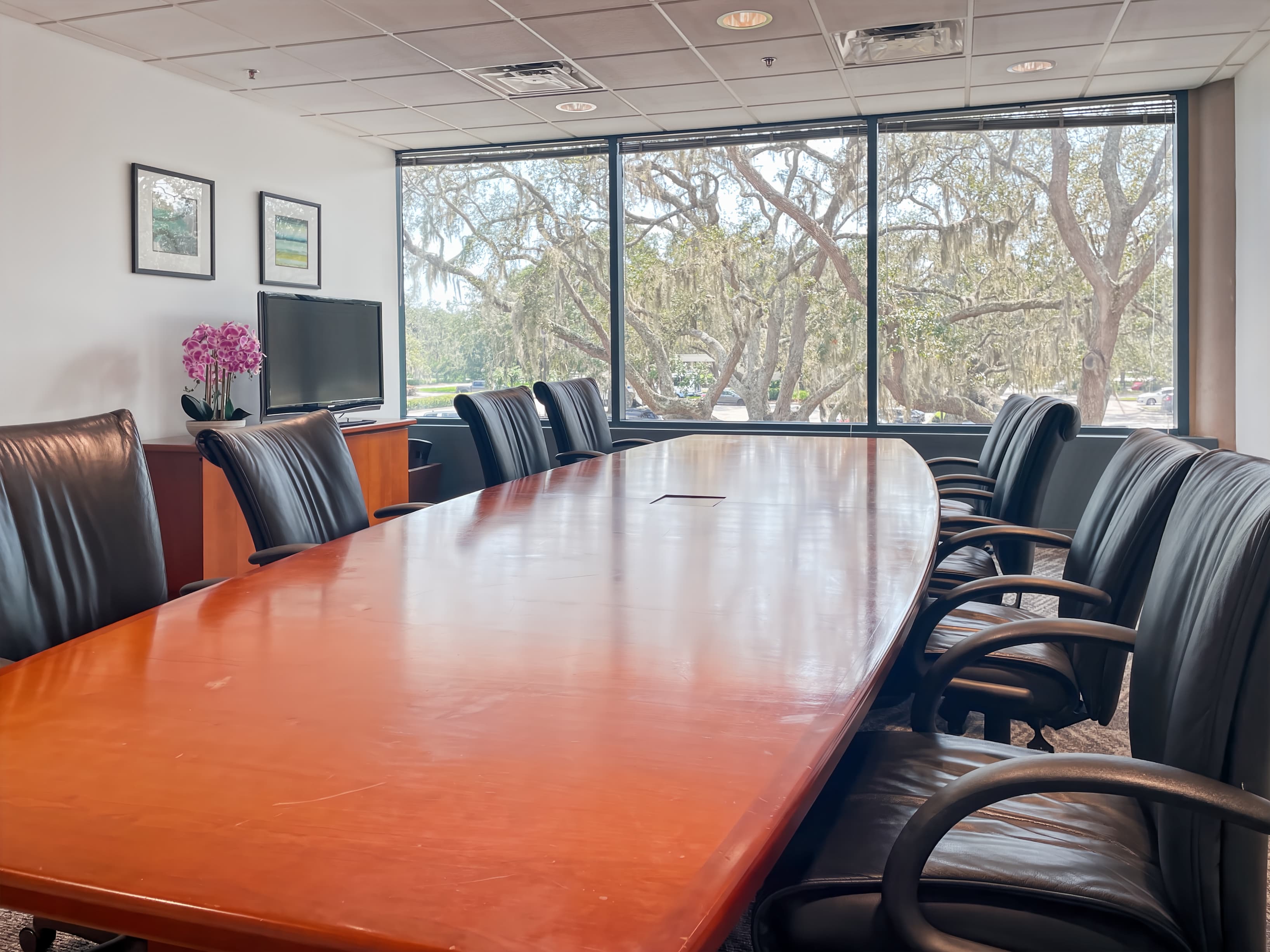 FL, Tampa Palms image 2