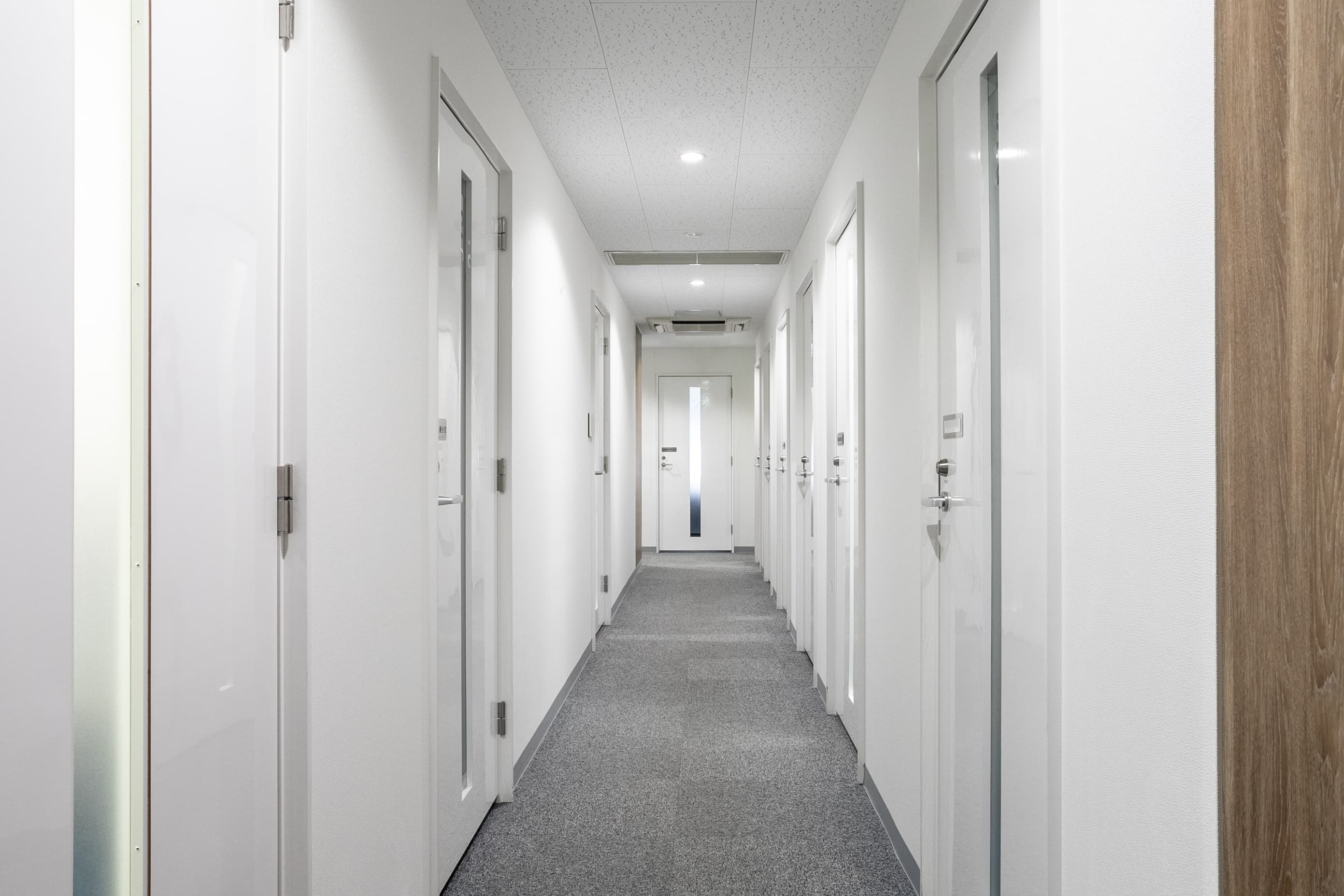 SAPPORO, Minami (Openoffice) image 7