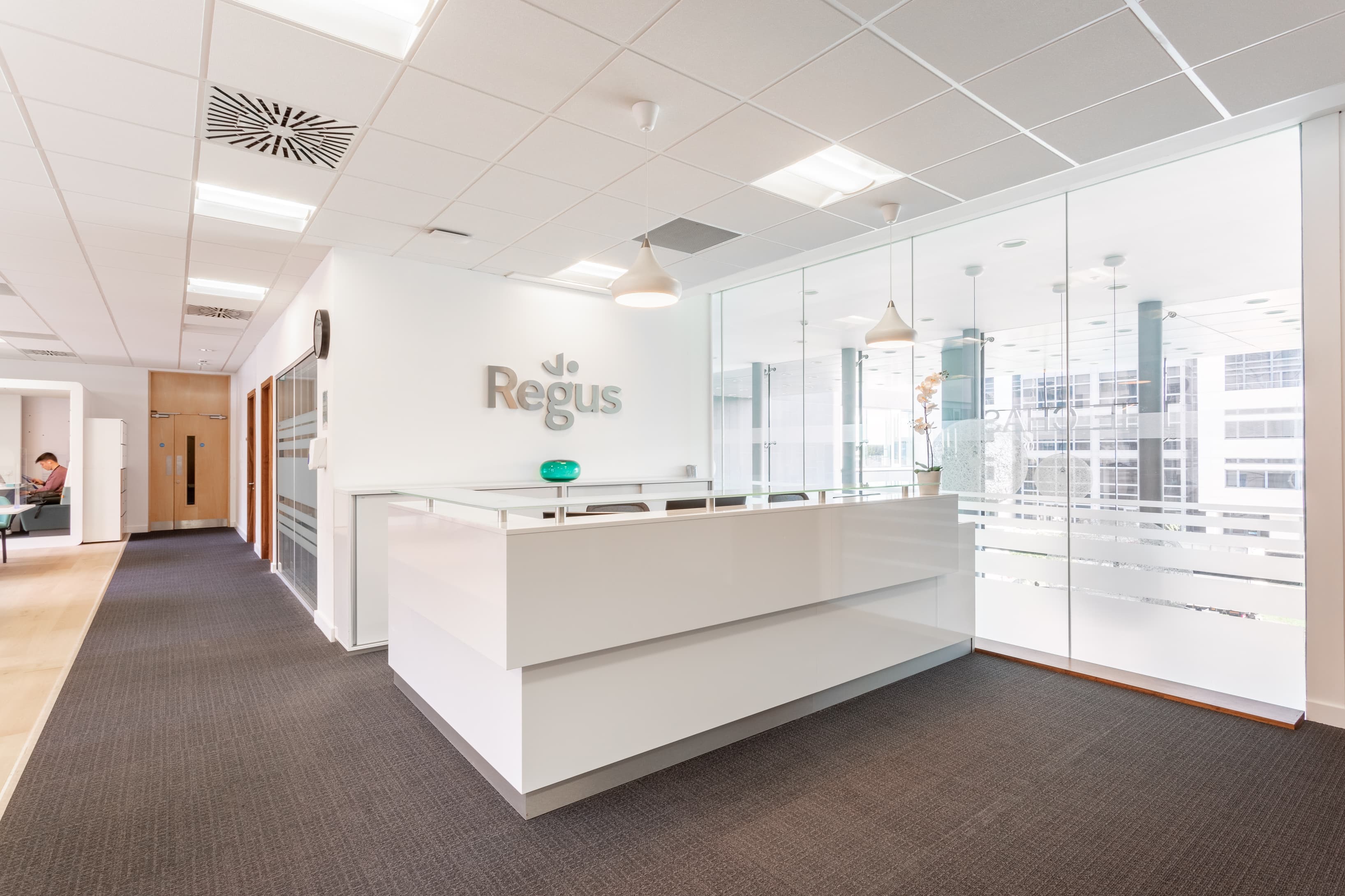 DUBLIN, The Chase image 5