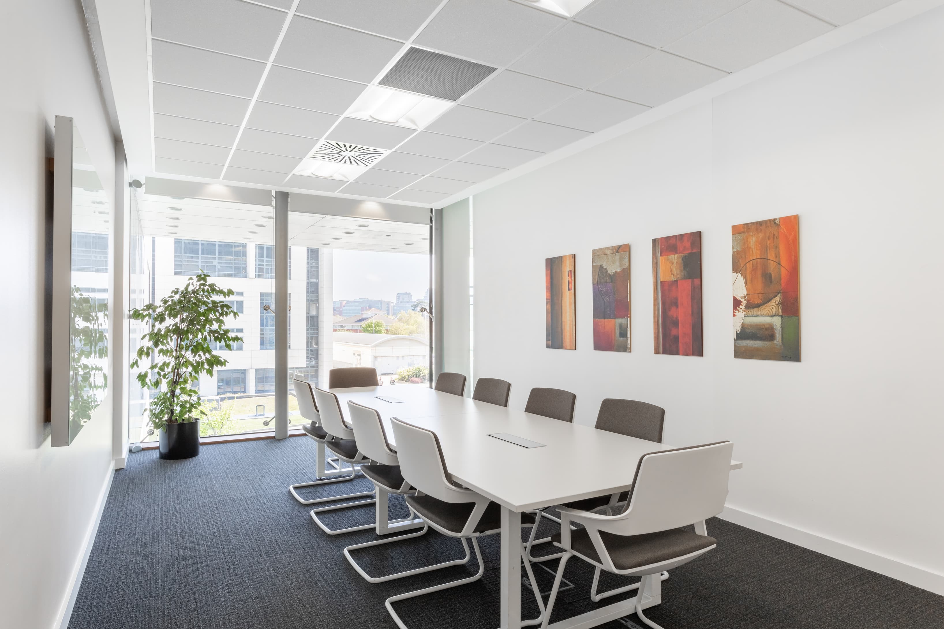 DUBLIN, The Chase image 6