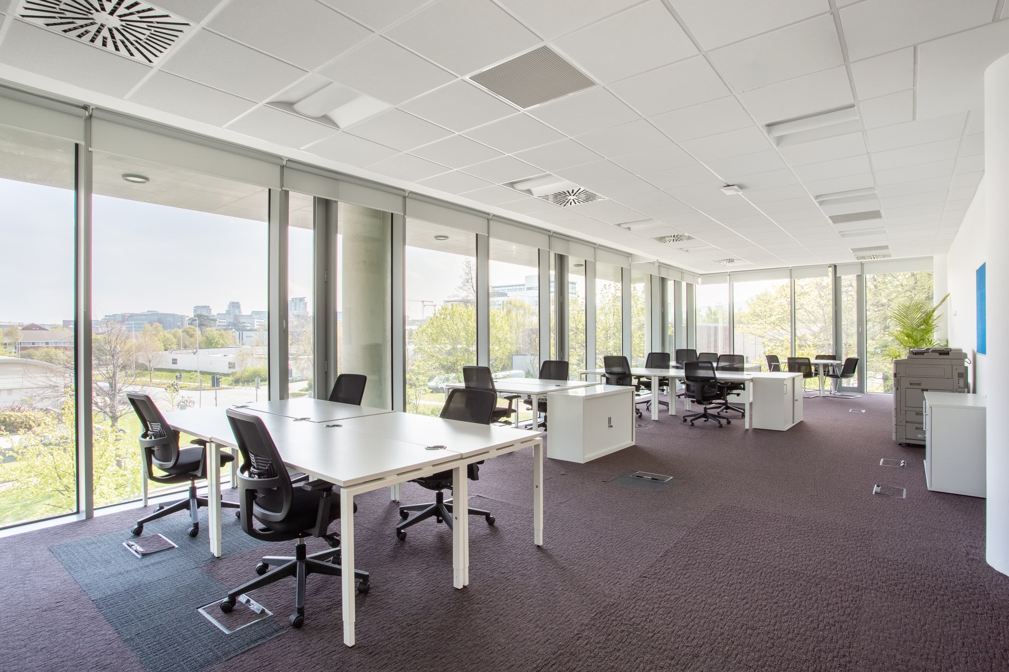 DUBLIN, The Chase image 7