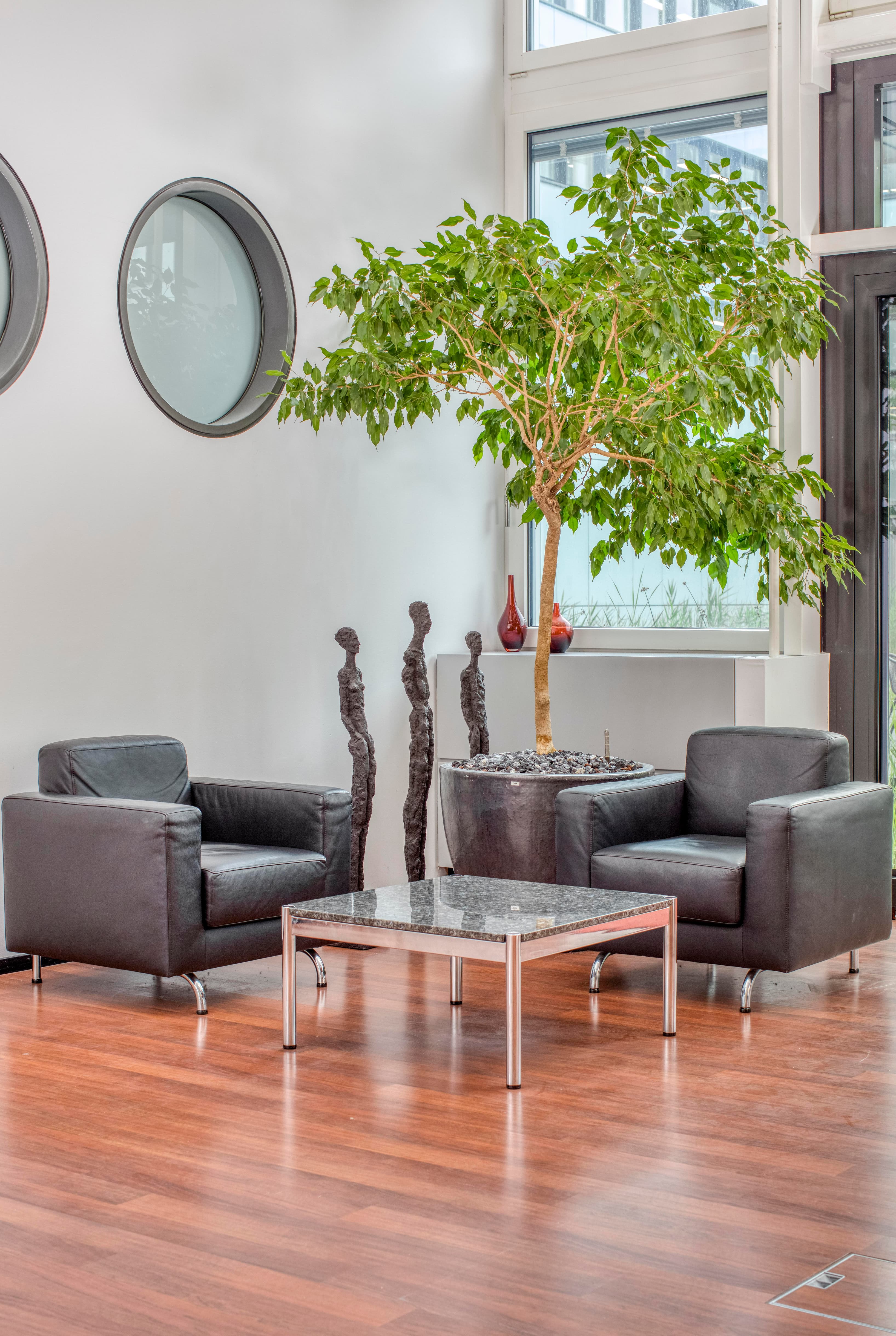 Zug, Dammstrasse image 6