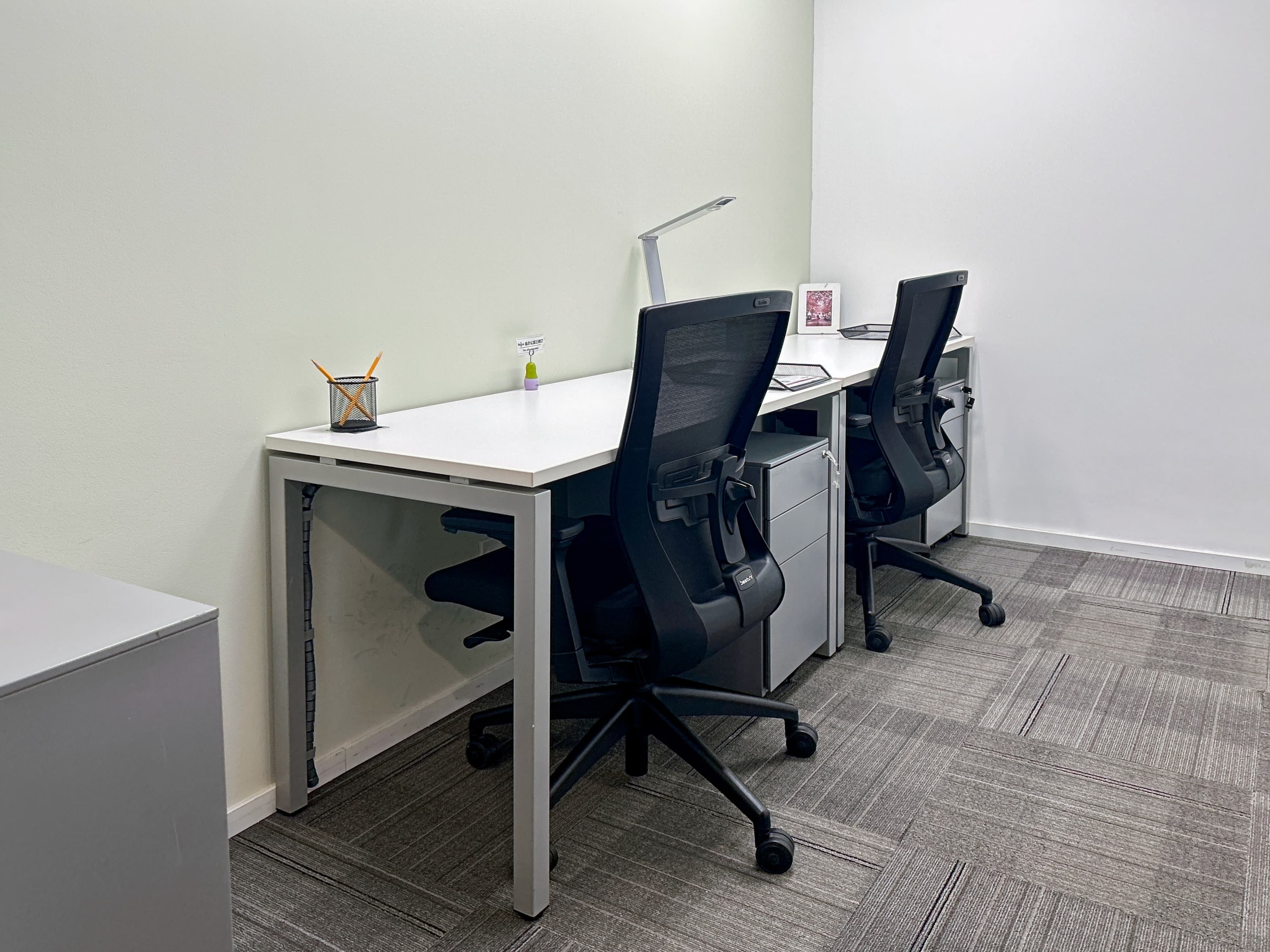 XIAN, Metropolis image 3