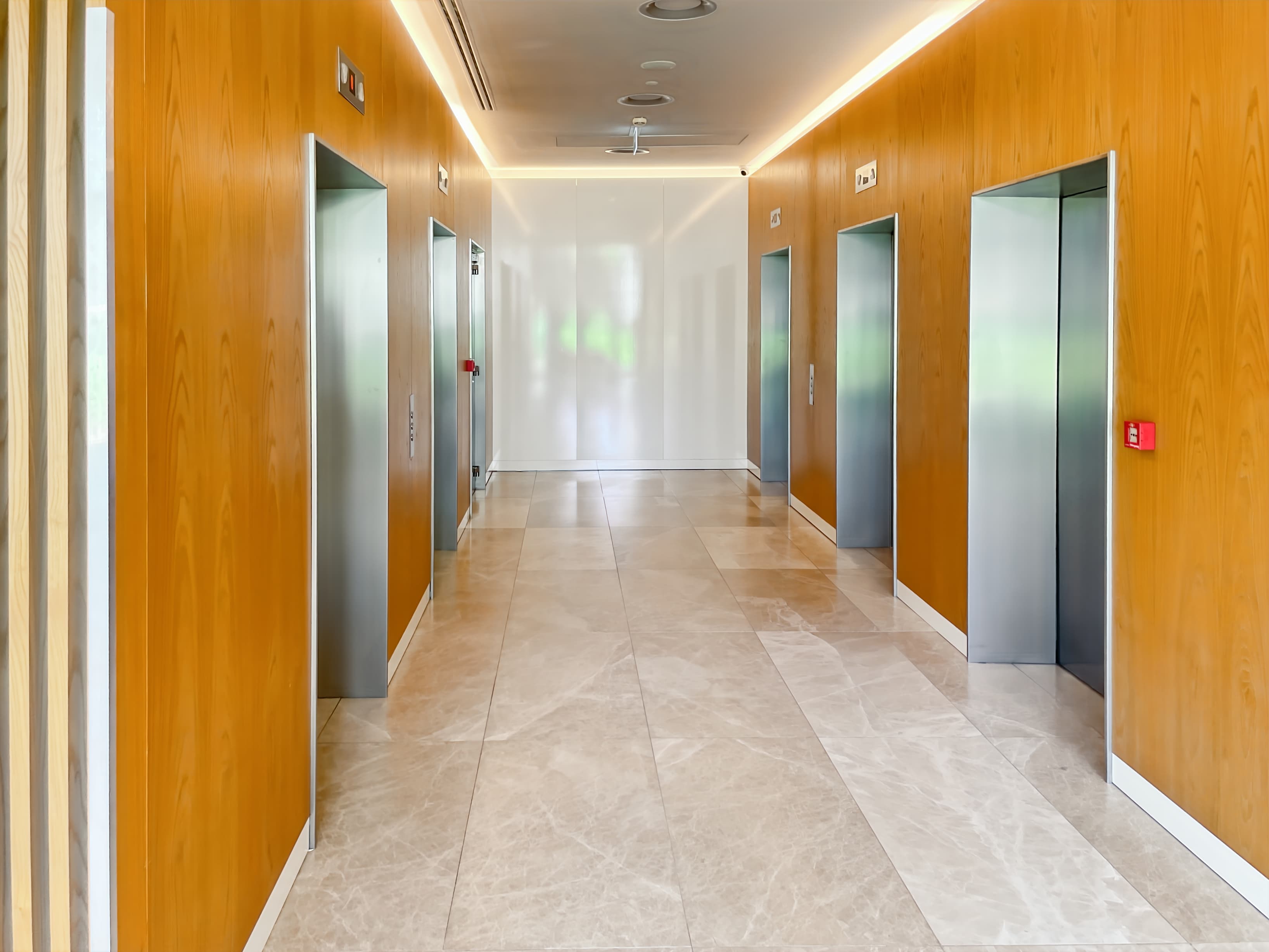 BRATISLAVA, Apollo image 6