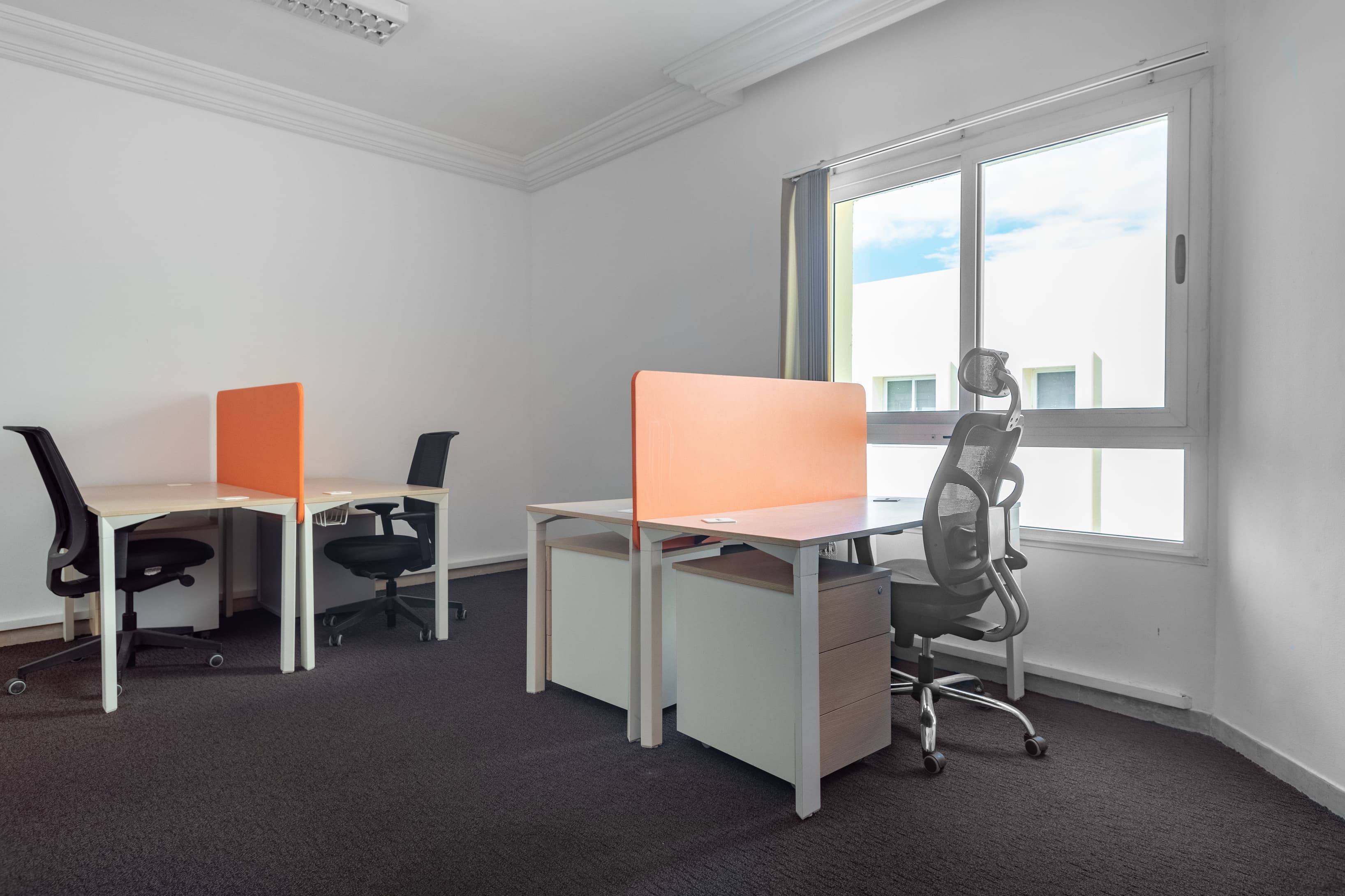 TUNIS, Carthage image 2