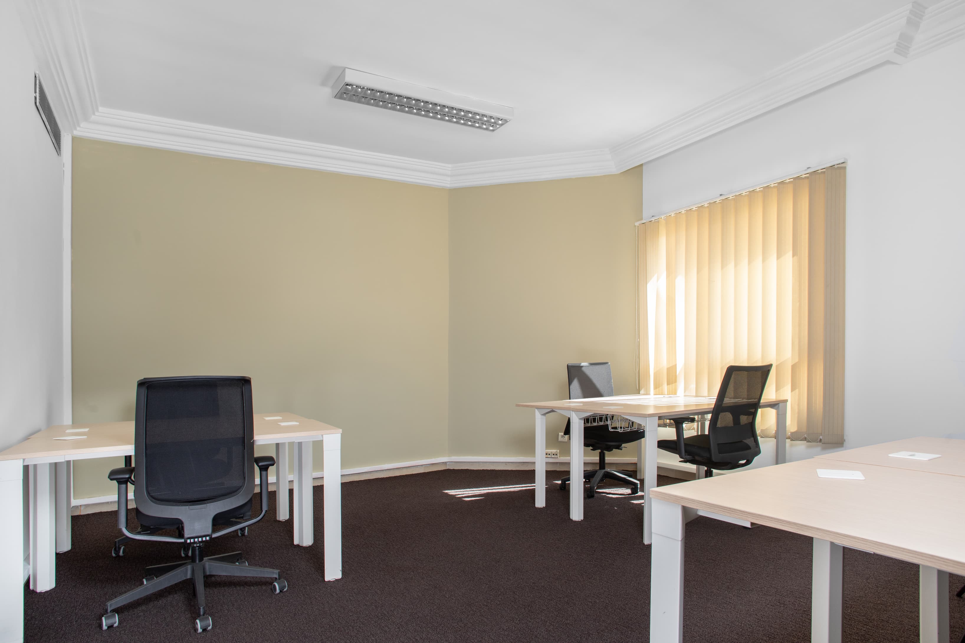 TUNIS, Carthage image 6