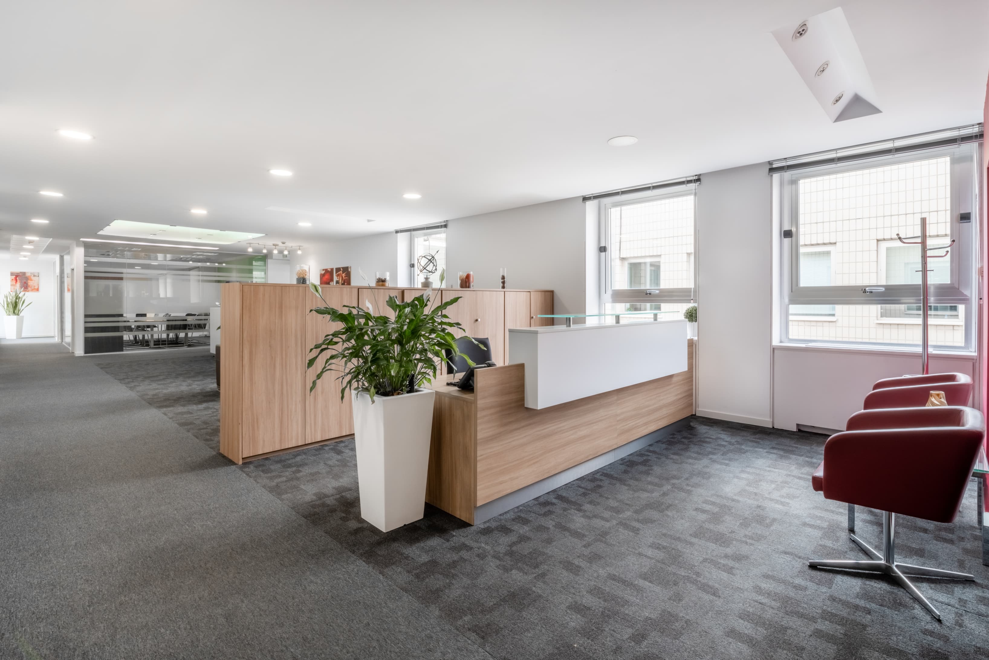 MADRID, Colon image 3 MADRID, Colon image 3