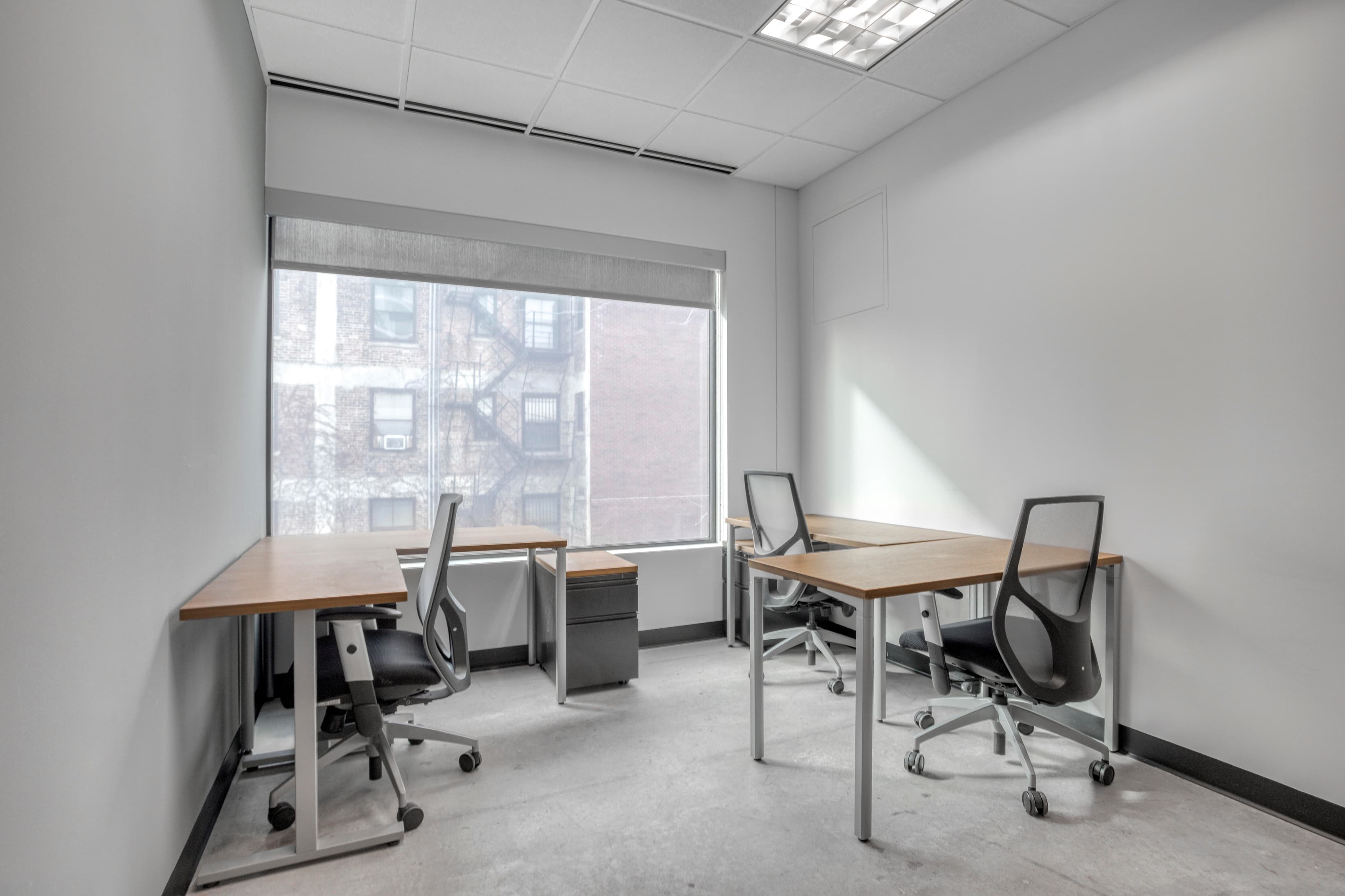 IL, Chicago - Hyde Park image 5