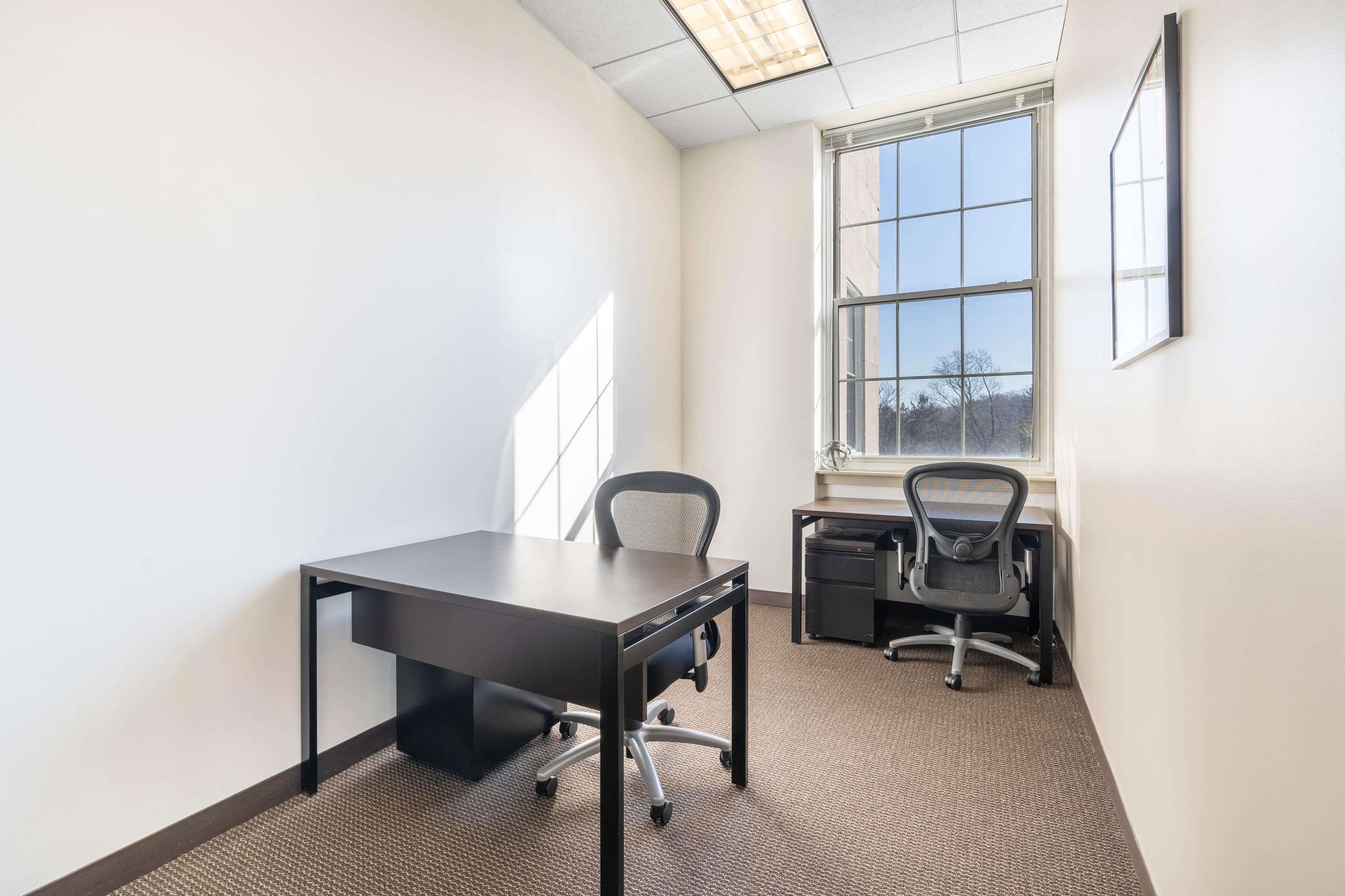 PA, Jenkintown - Jenkins Court image 5 PA, Jenkintown - Jenkins Court image 5